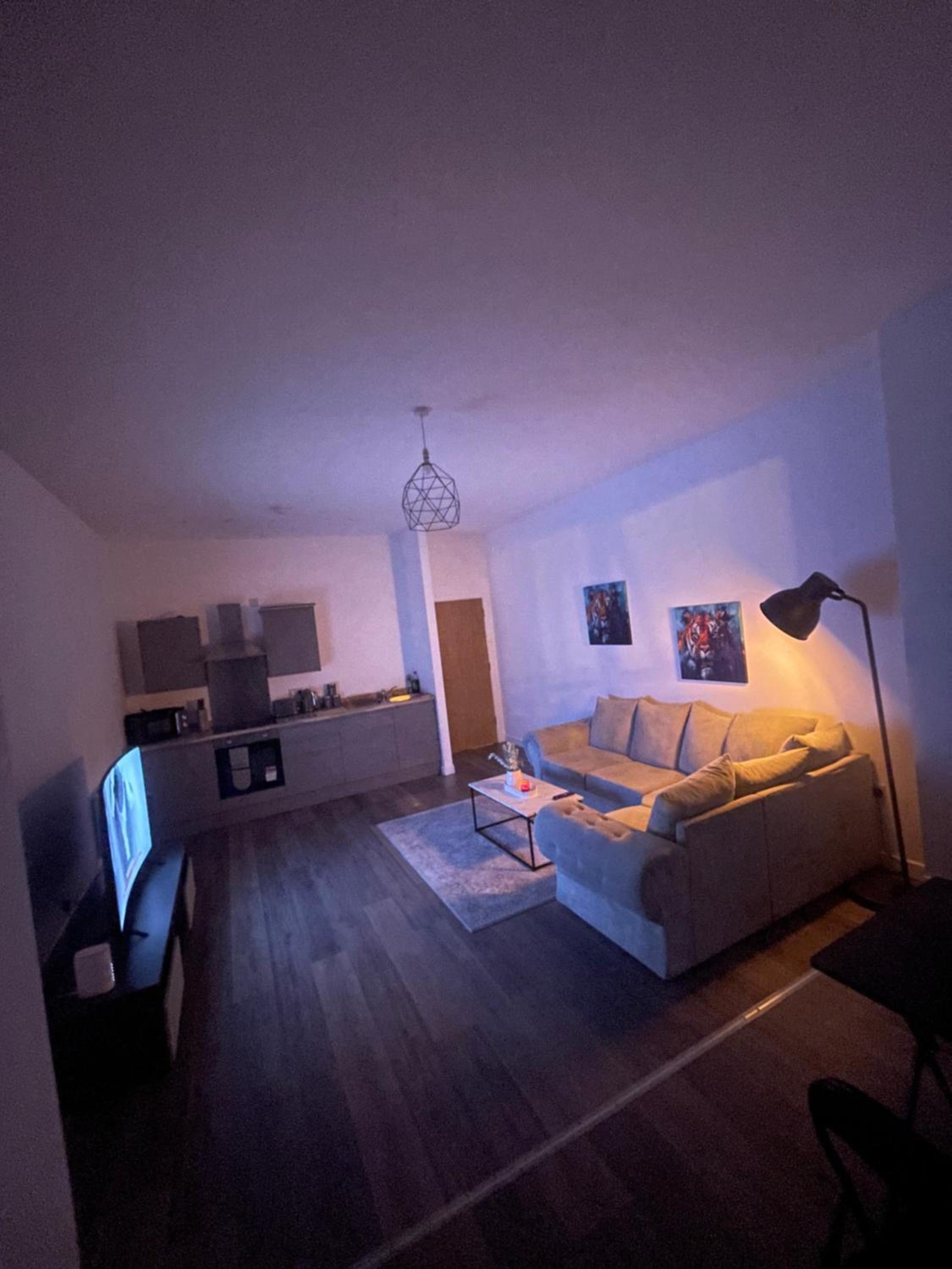 One-Bedroom Apartment photo 3