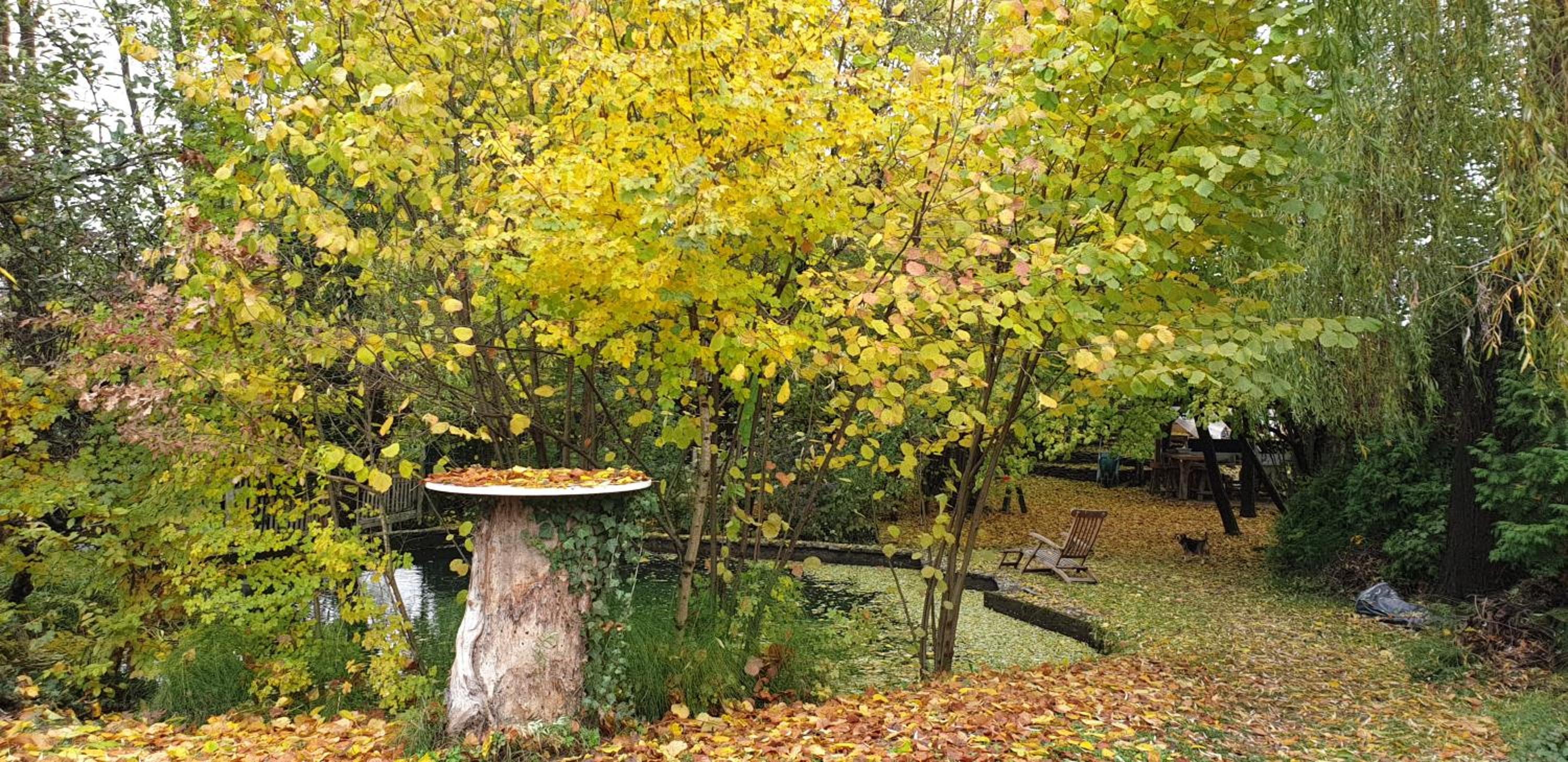 Villa - Photo 153