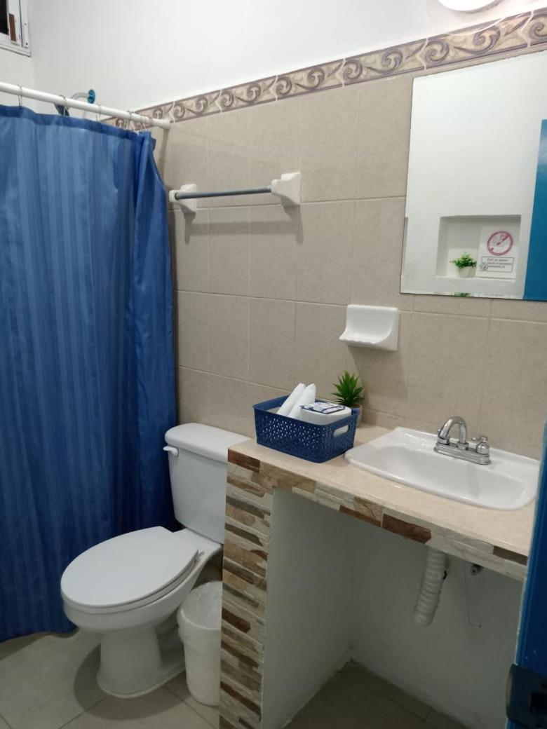 Superior Twin Room With Garden View