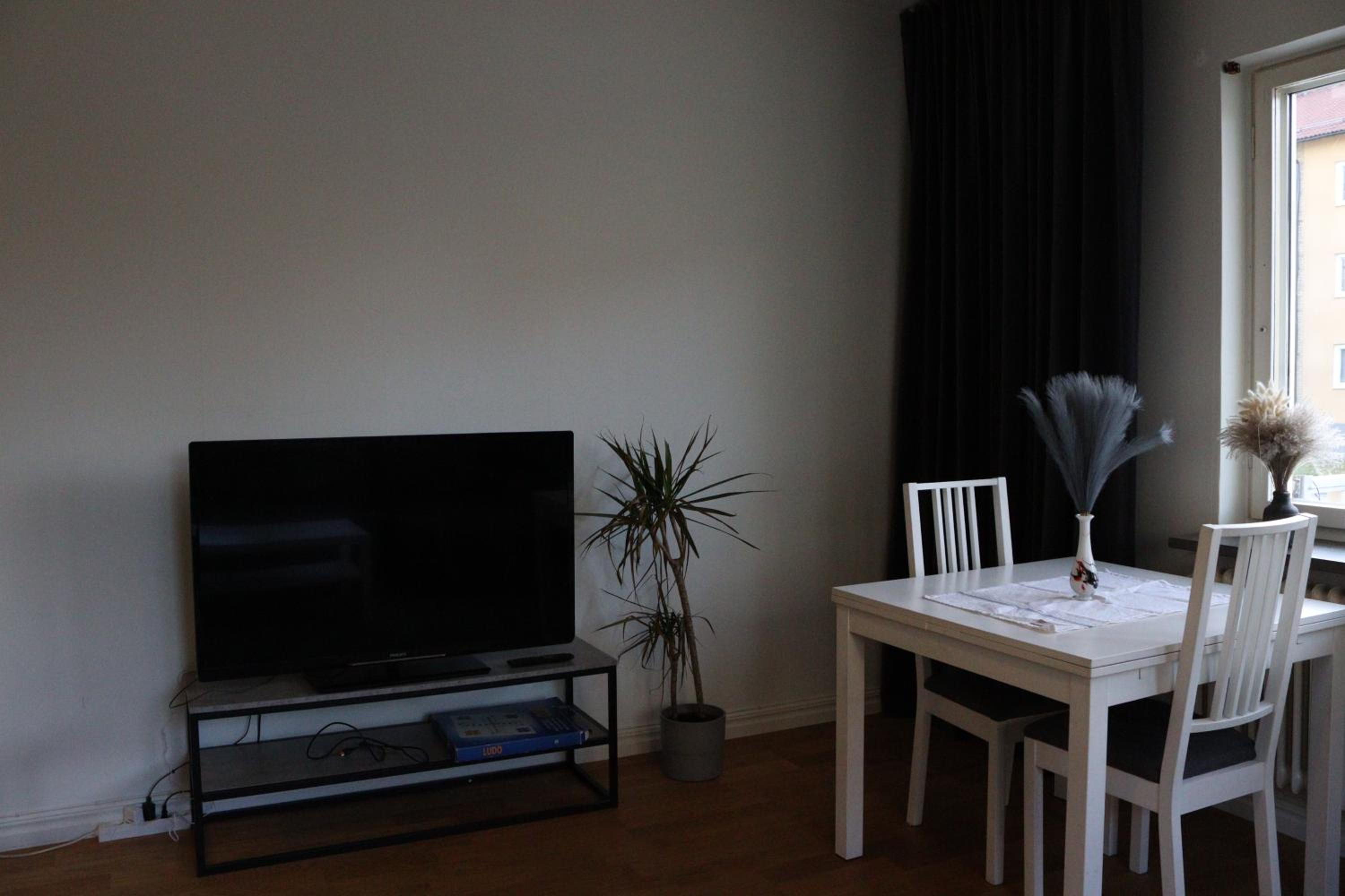 One-Bedroom Apartment photo 3