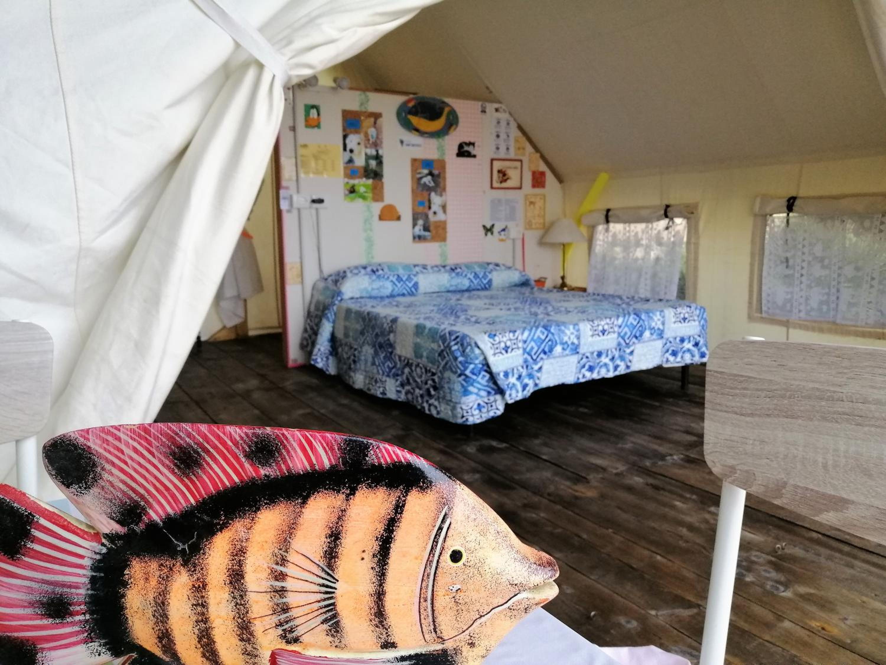 Bungalow with Sea View photo 1
