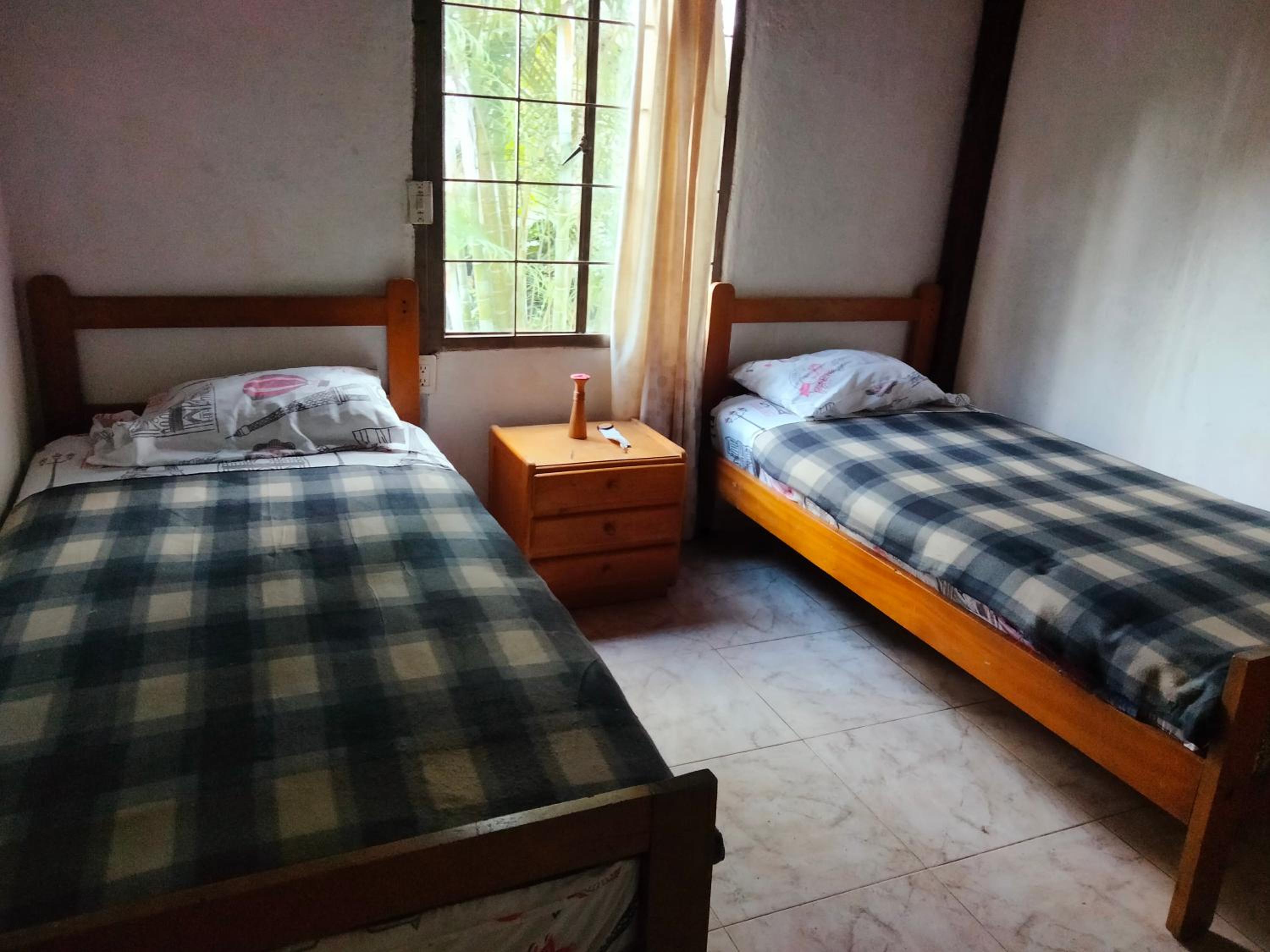 Double or Twin Room photo 3
