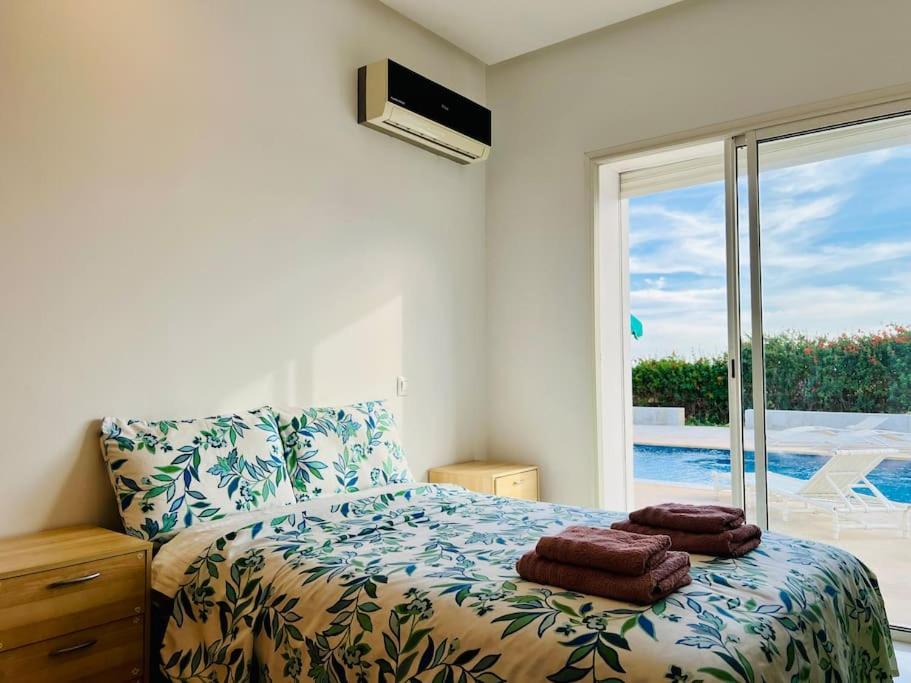 Deluxe Villa photo 3