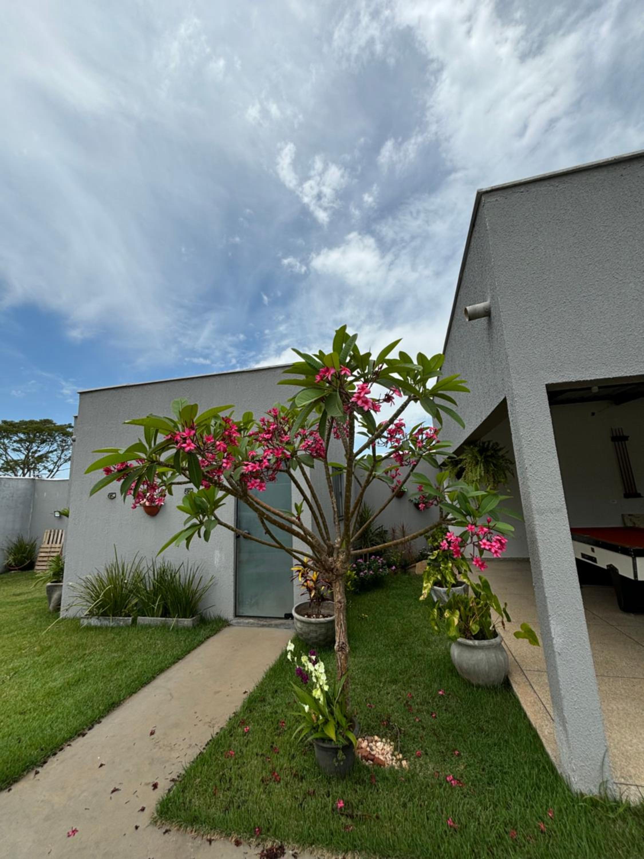 One-Bedroom House photo 2