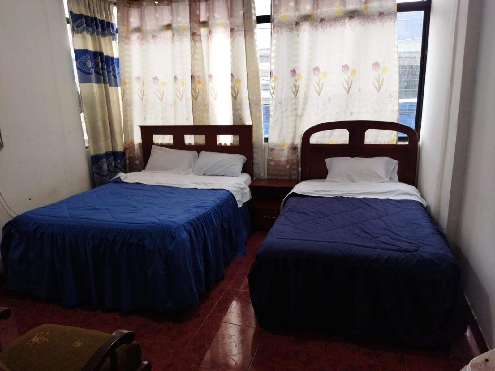 Twin Room photo 1