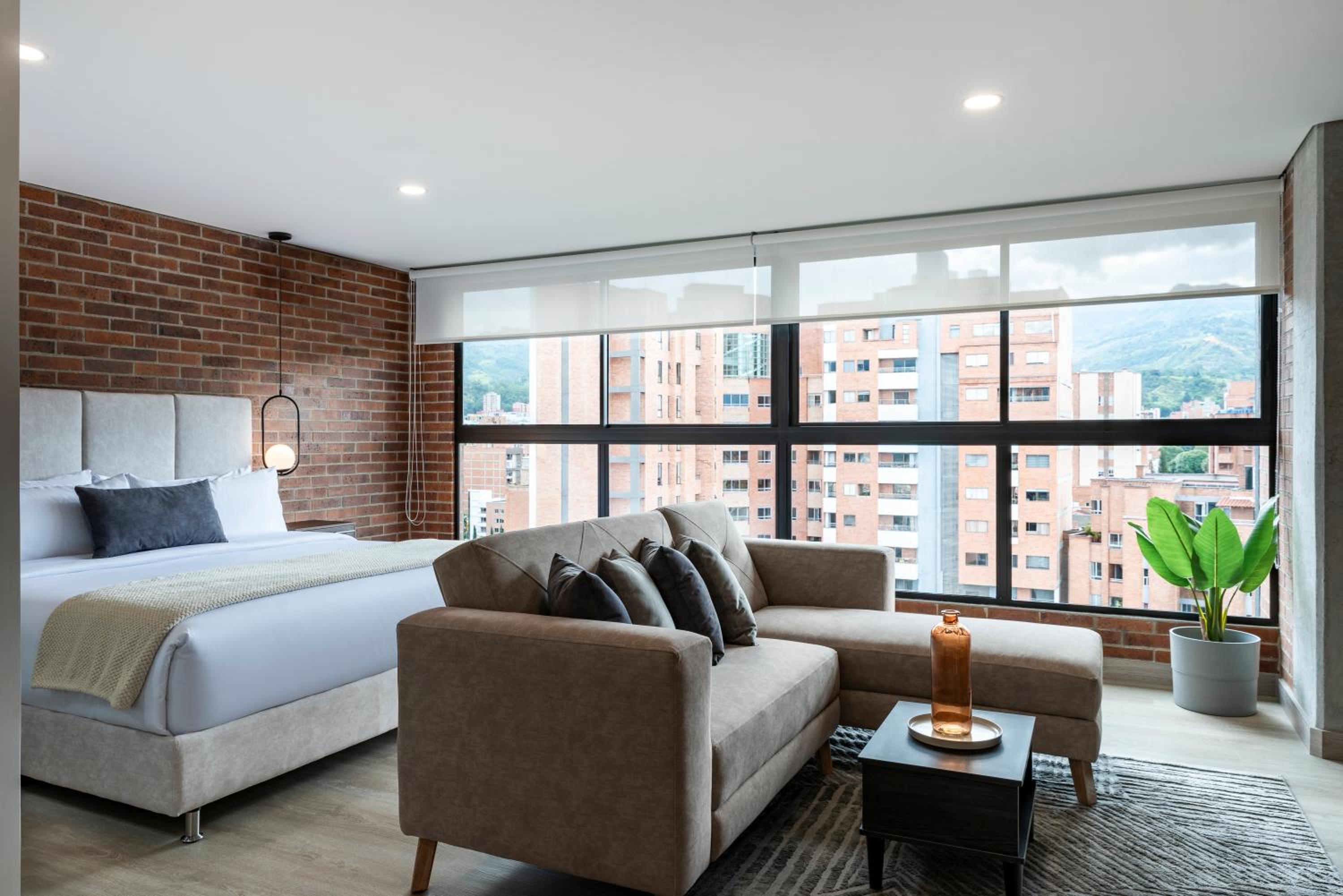 Deluxe One-Bedroom Apartment