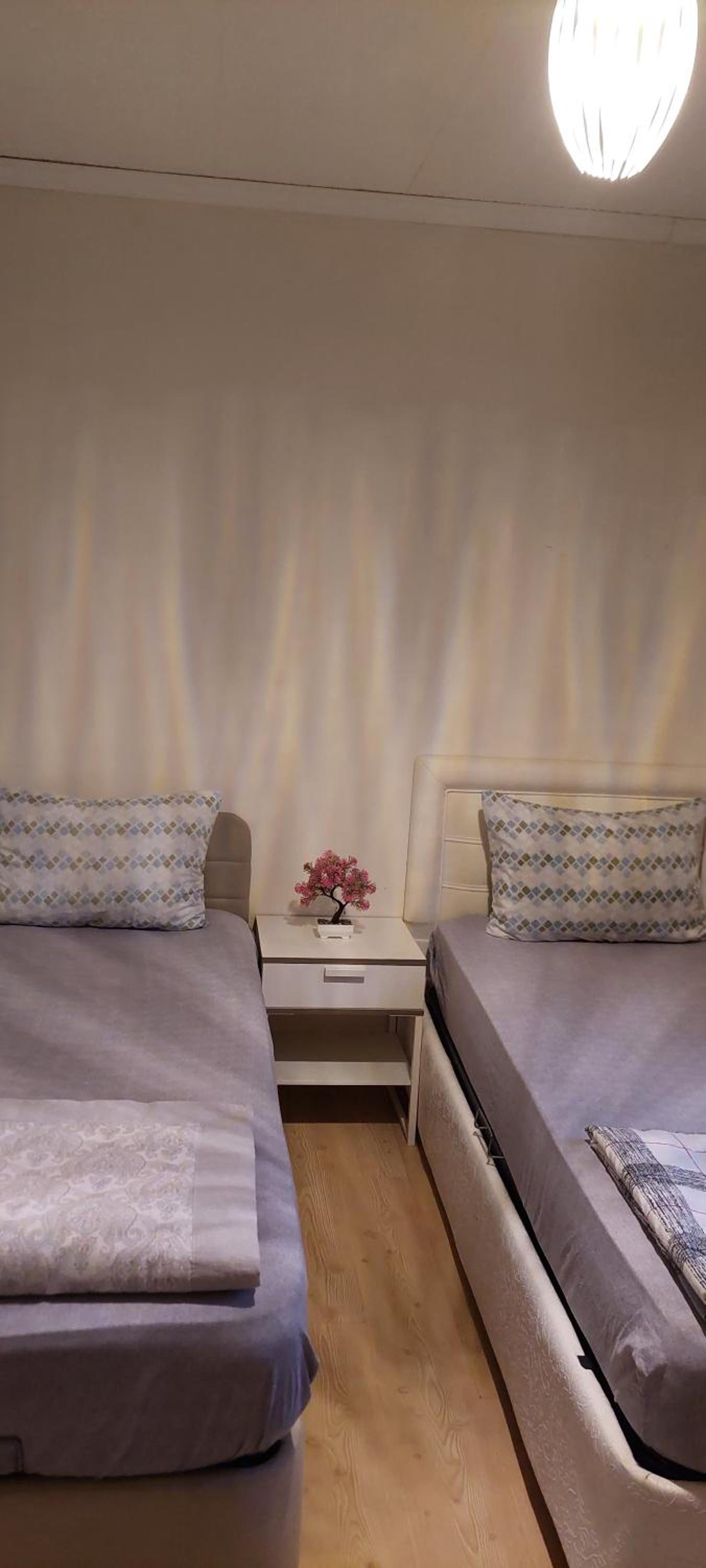 Twin Room photo 1