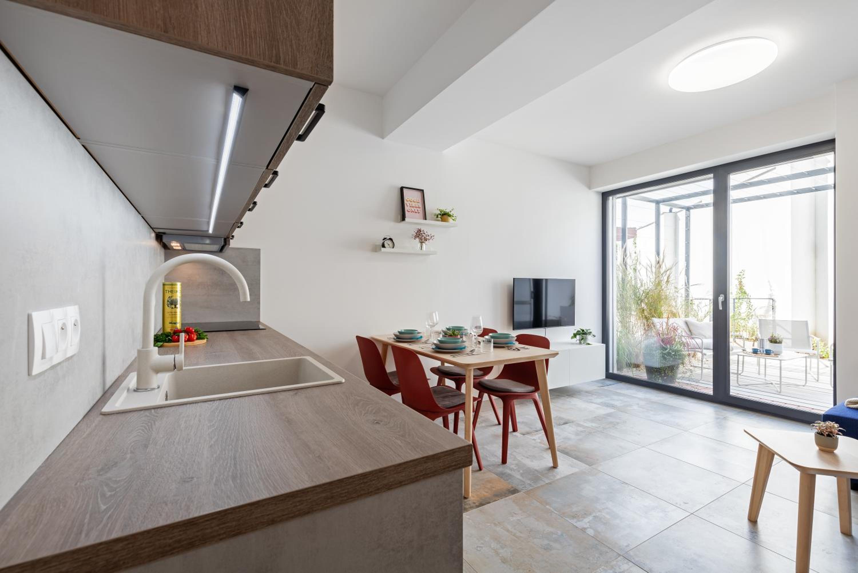 One-Bedroom Apartment with Terrace photo 3