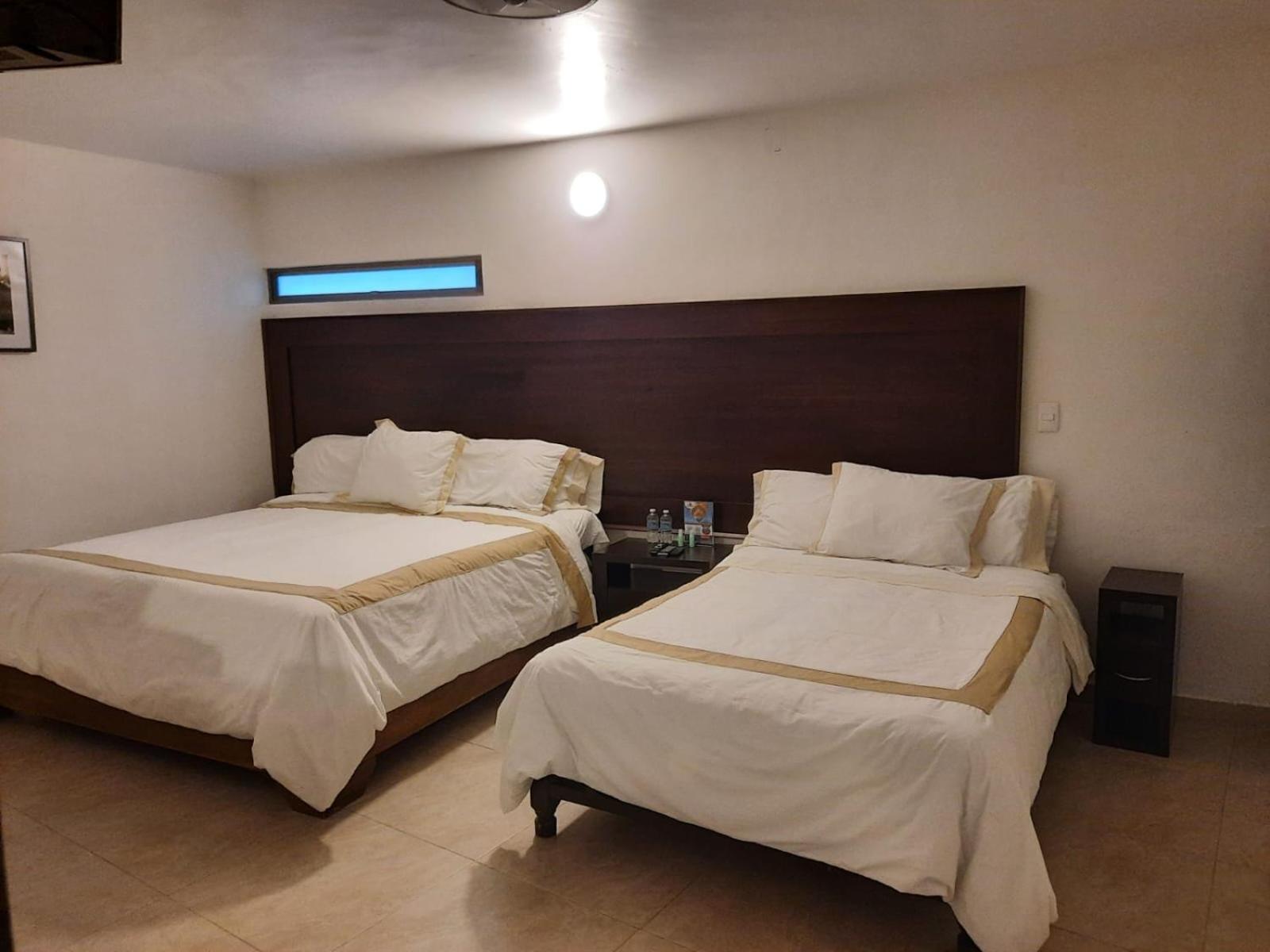 Large Twin Room photo 1