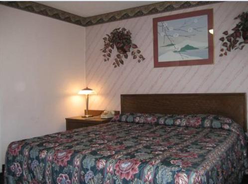 King Room photo 2