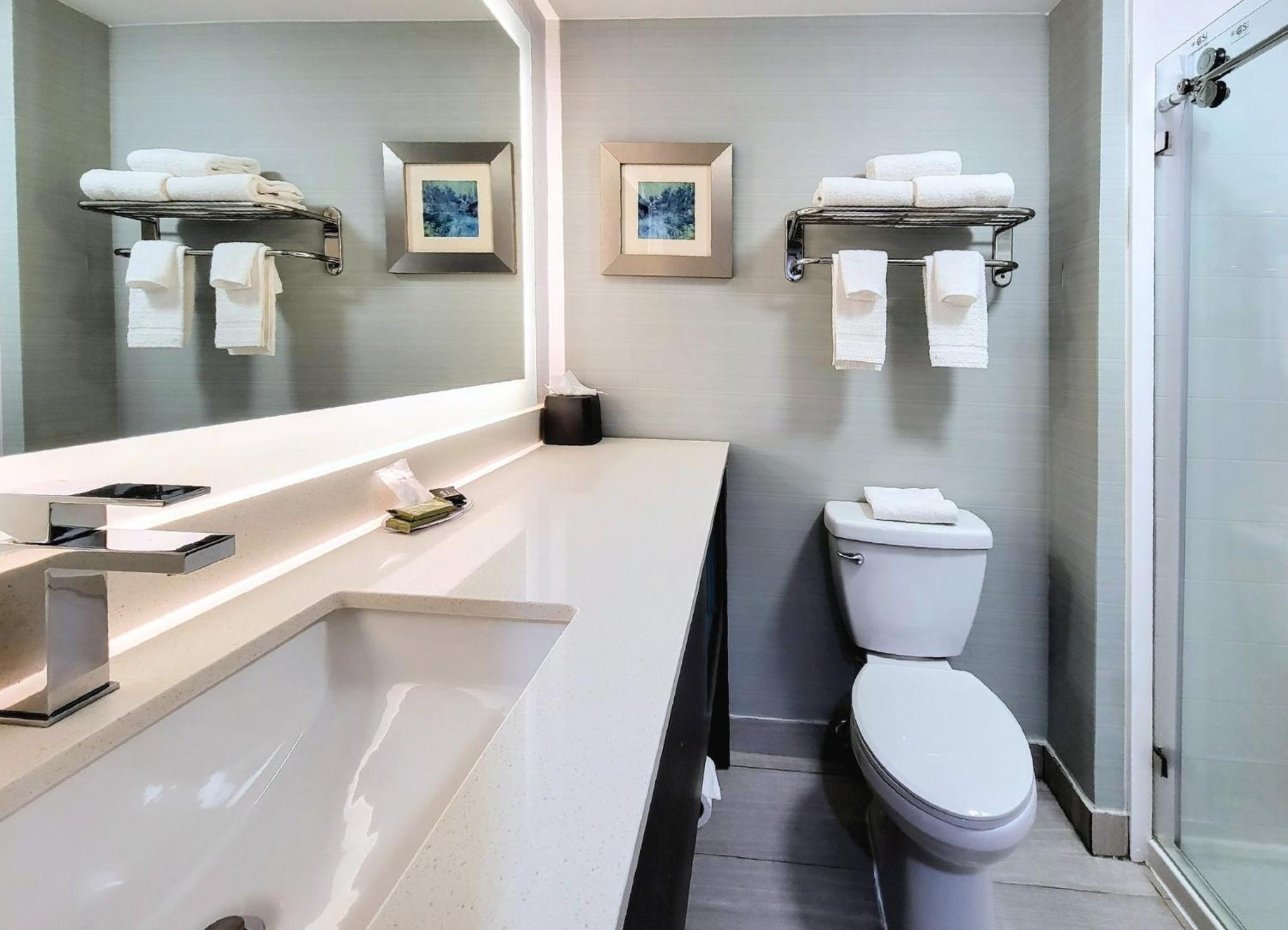 King Suite with Jacuzzi - Non-Smoking - Photo 13