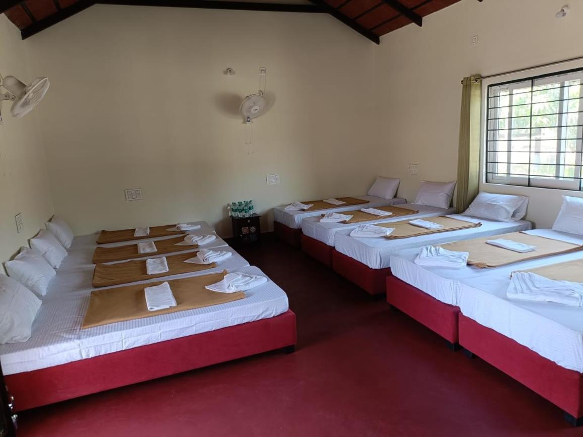 Mixed Dormitory Room photo 3