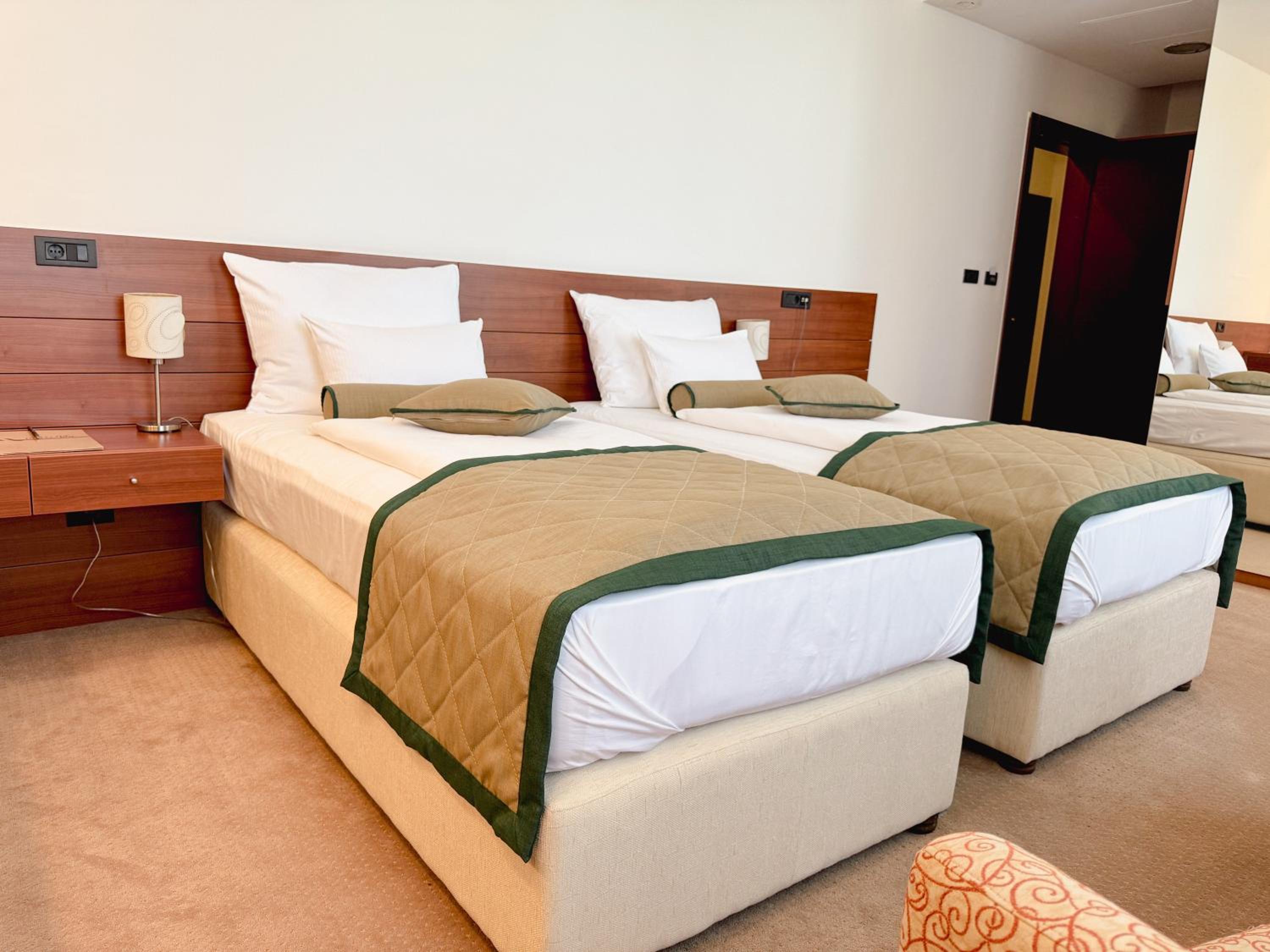 Twin Room photo 2