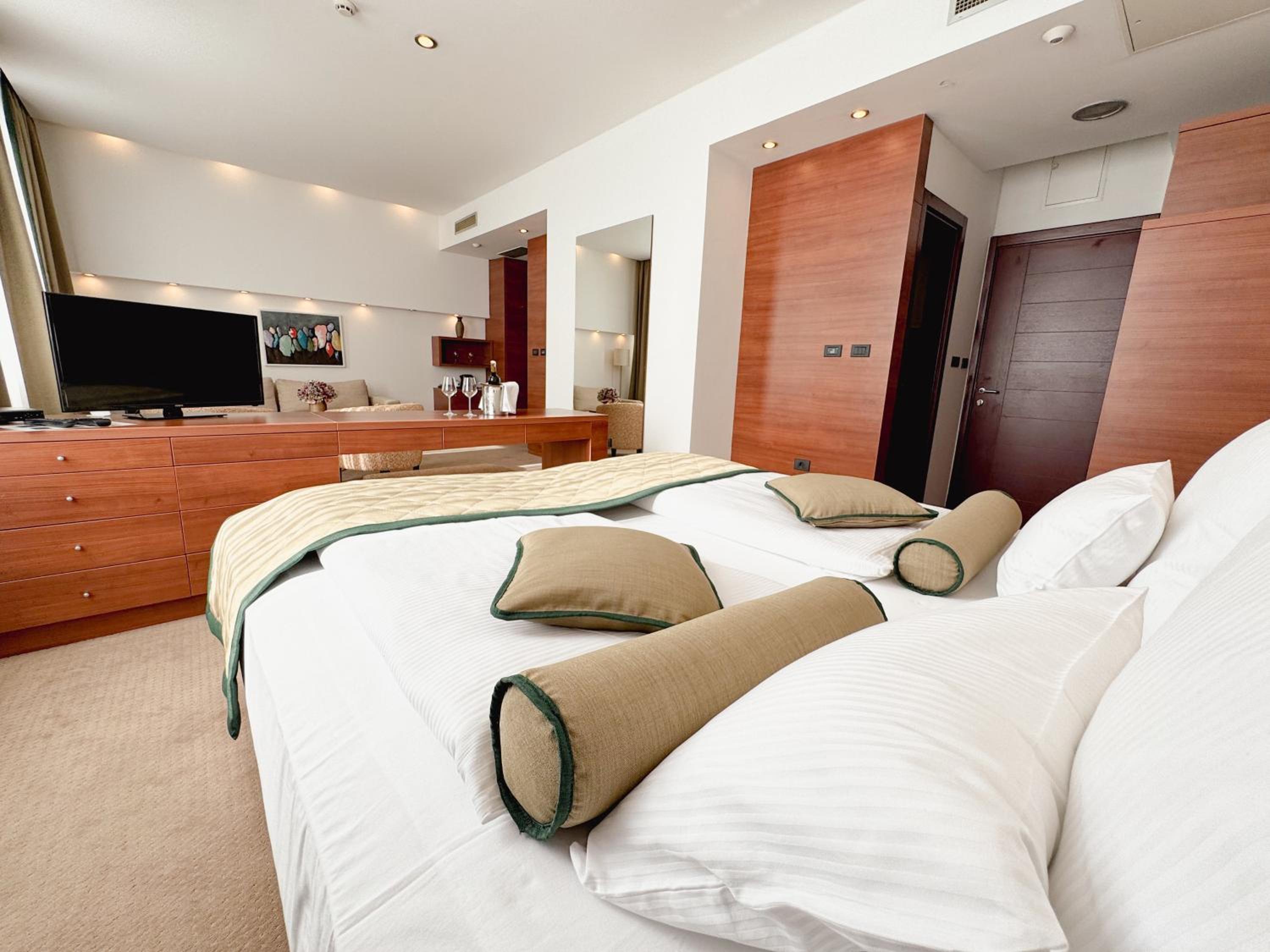 One-Bedroom Premium Apartment photo 3