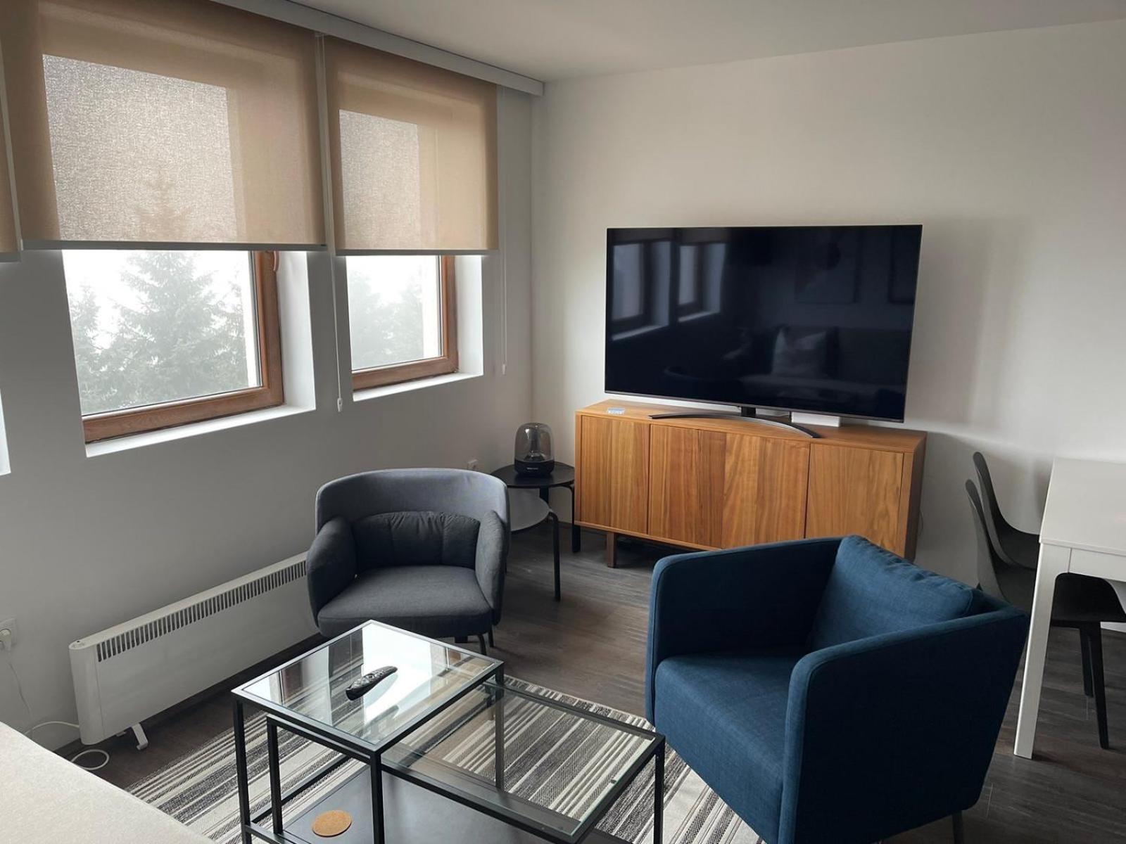 One-Bedroom Apartment With Balcony And Mountain View