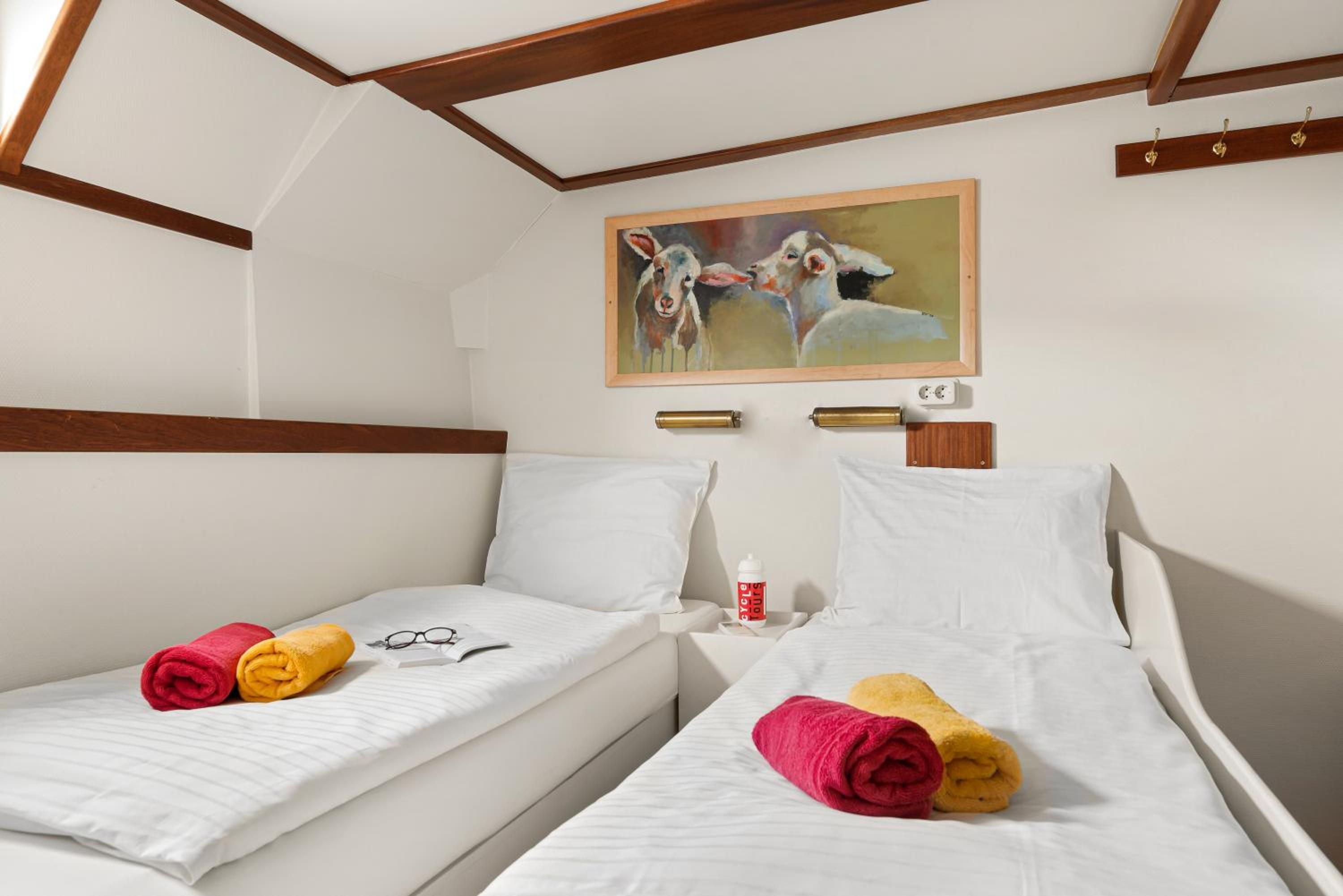 Deluxe Twin Room photo 1