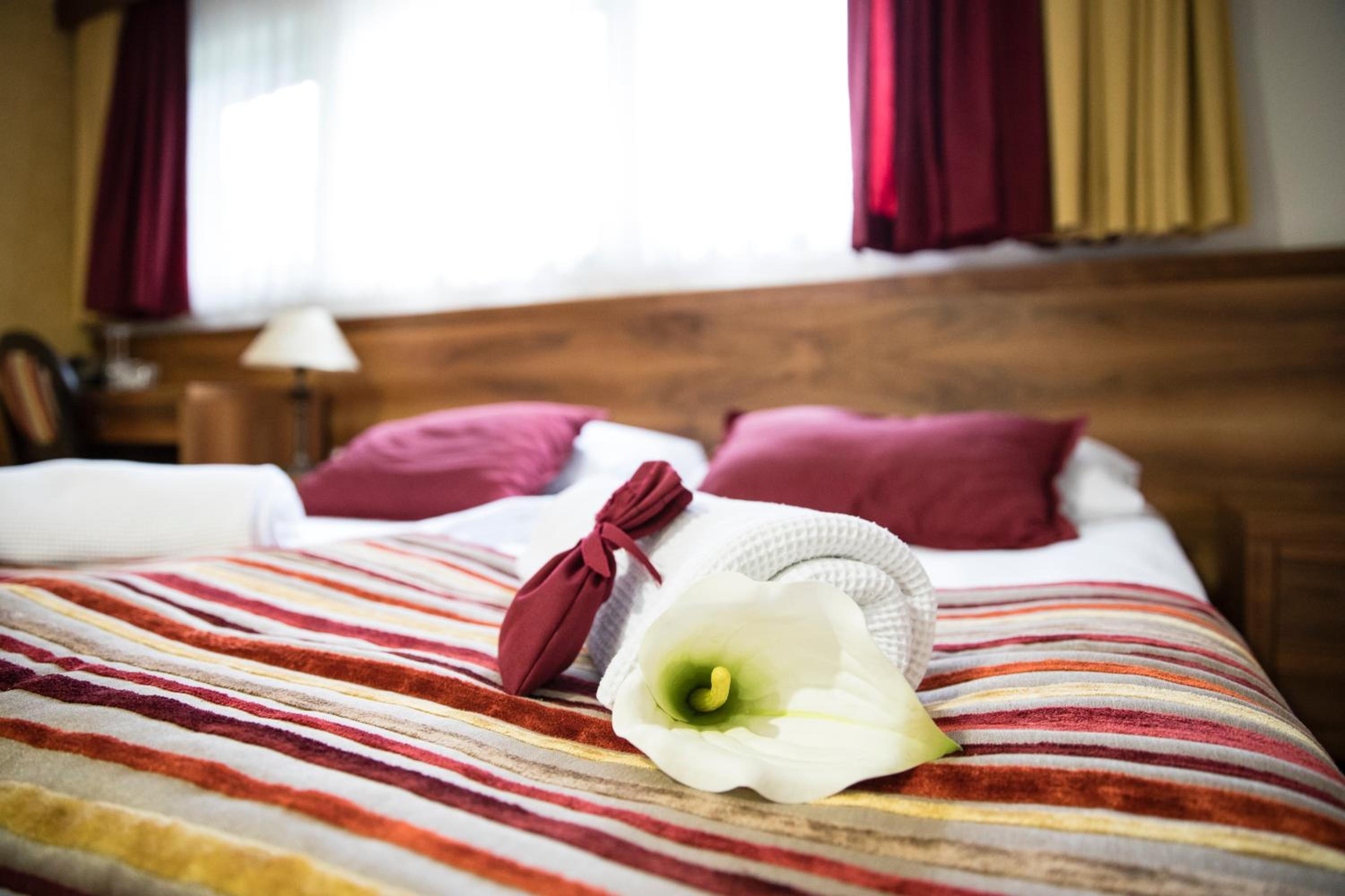 Luxury Suite - Photo 5