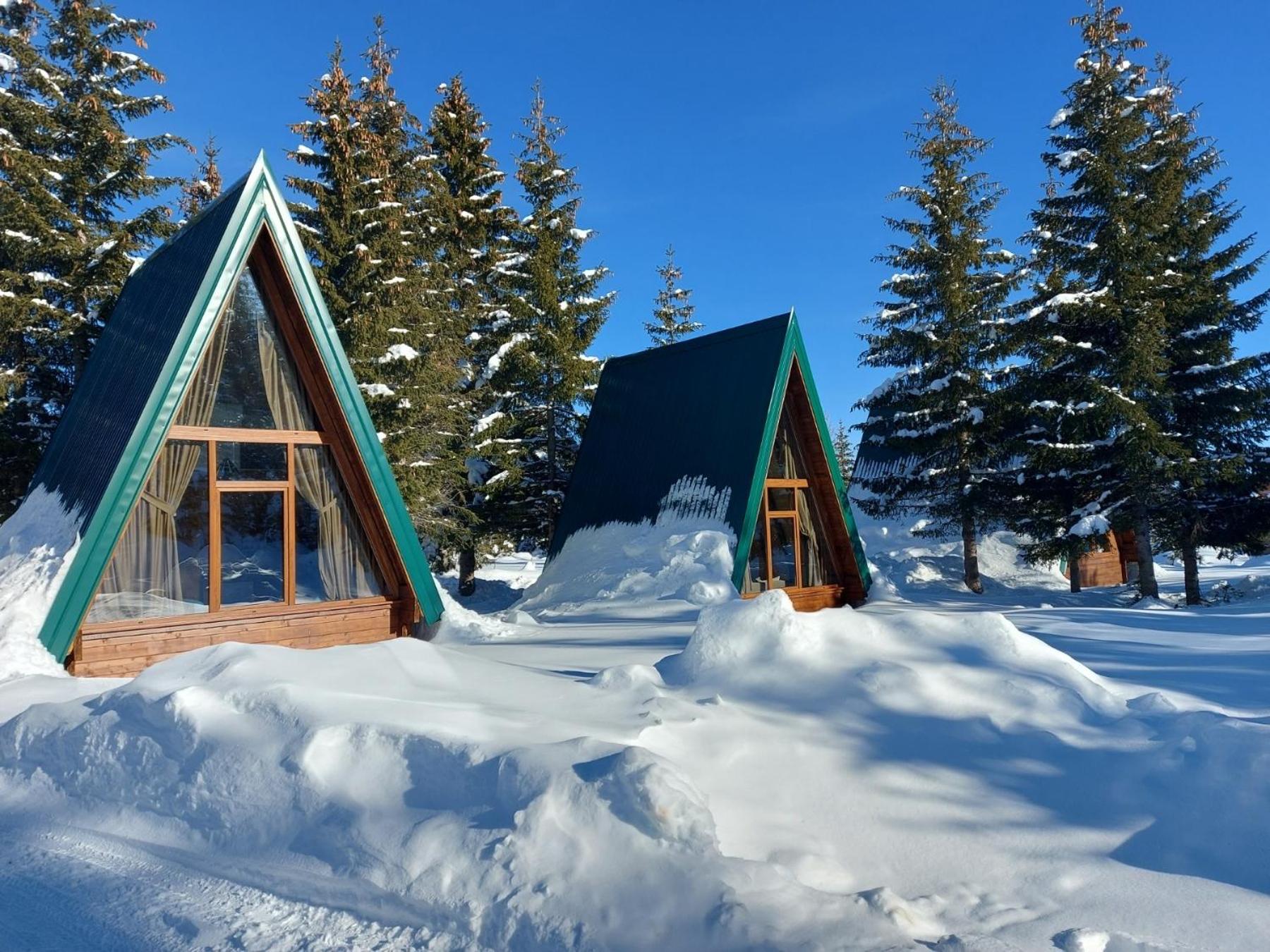 Vacation Home photo 3