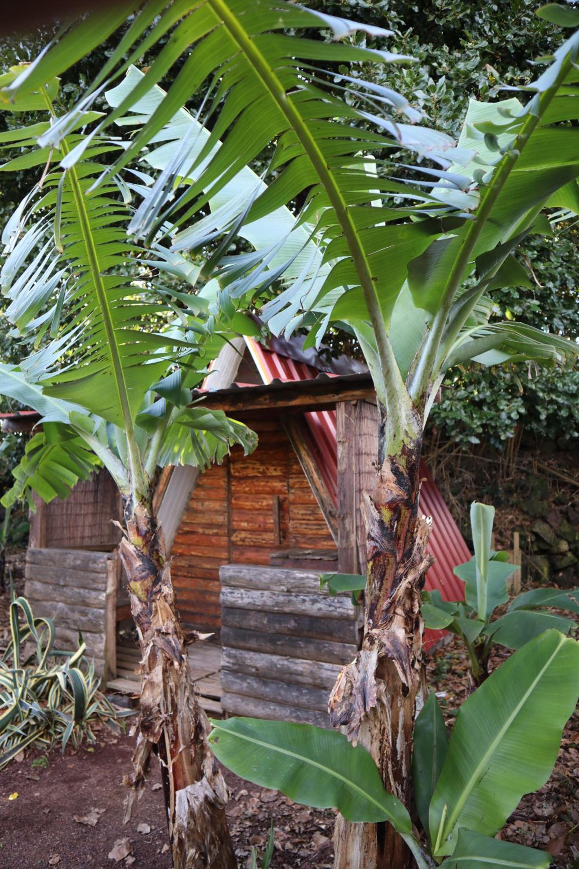 Bungalow photo 2