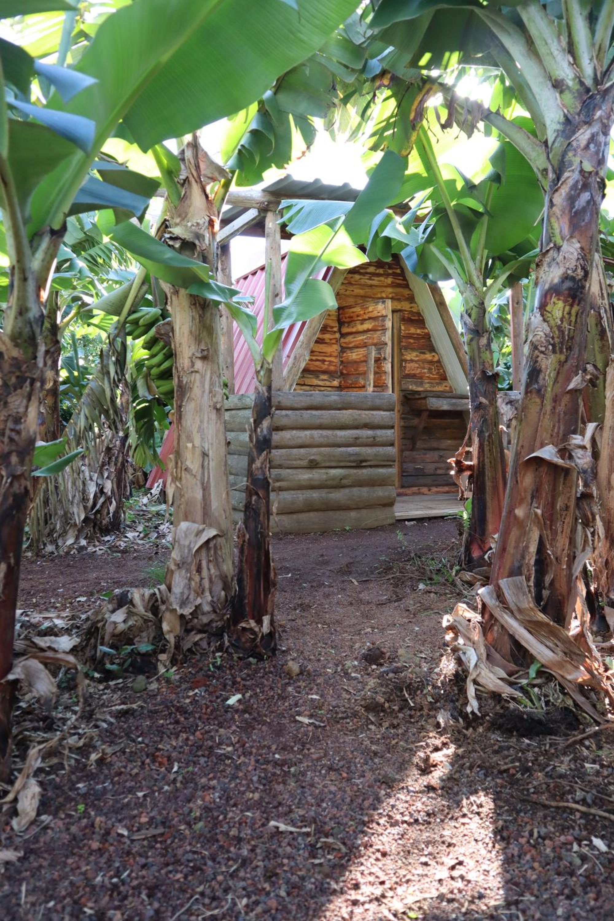 Bungalow photo 3
