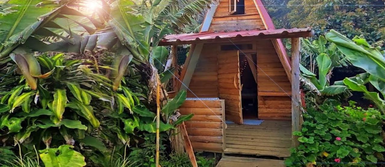 Deluxe Bungalow photo 2