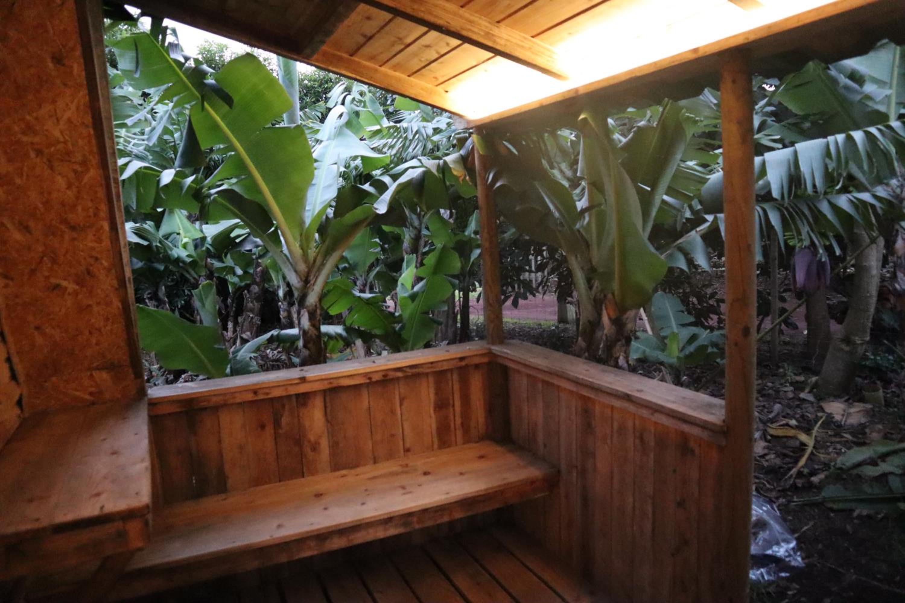 Bungalow - Photo 9