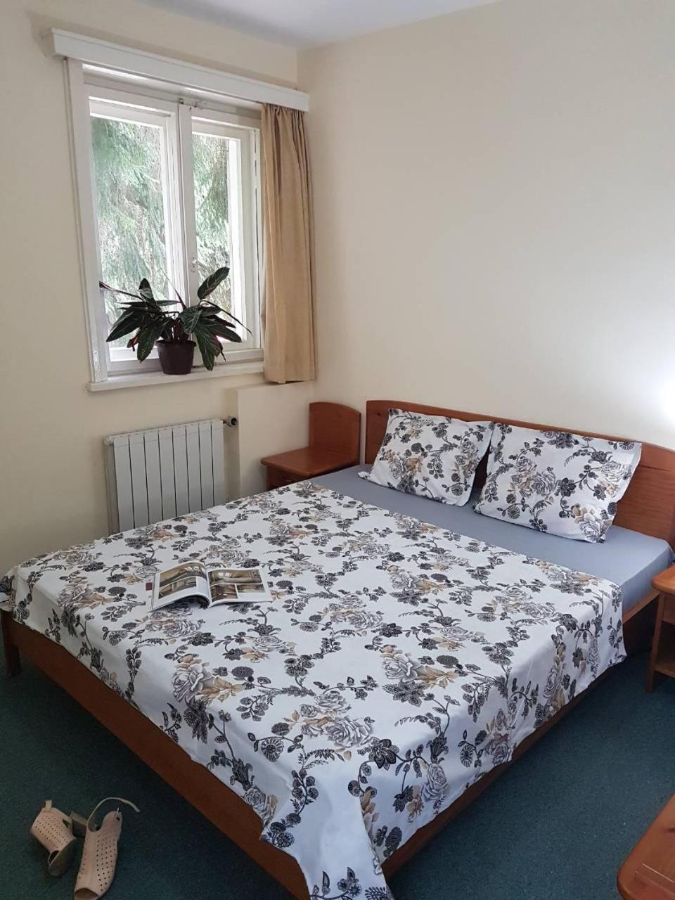 Comfort Triple Room with Shower