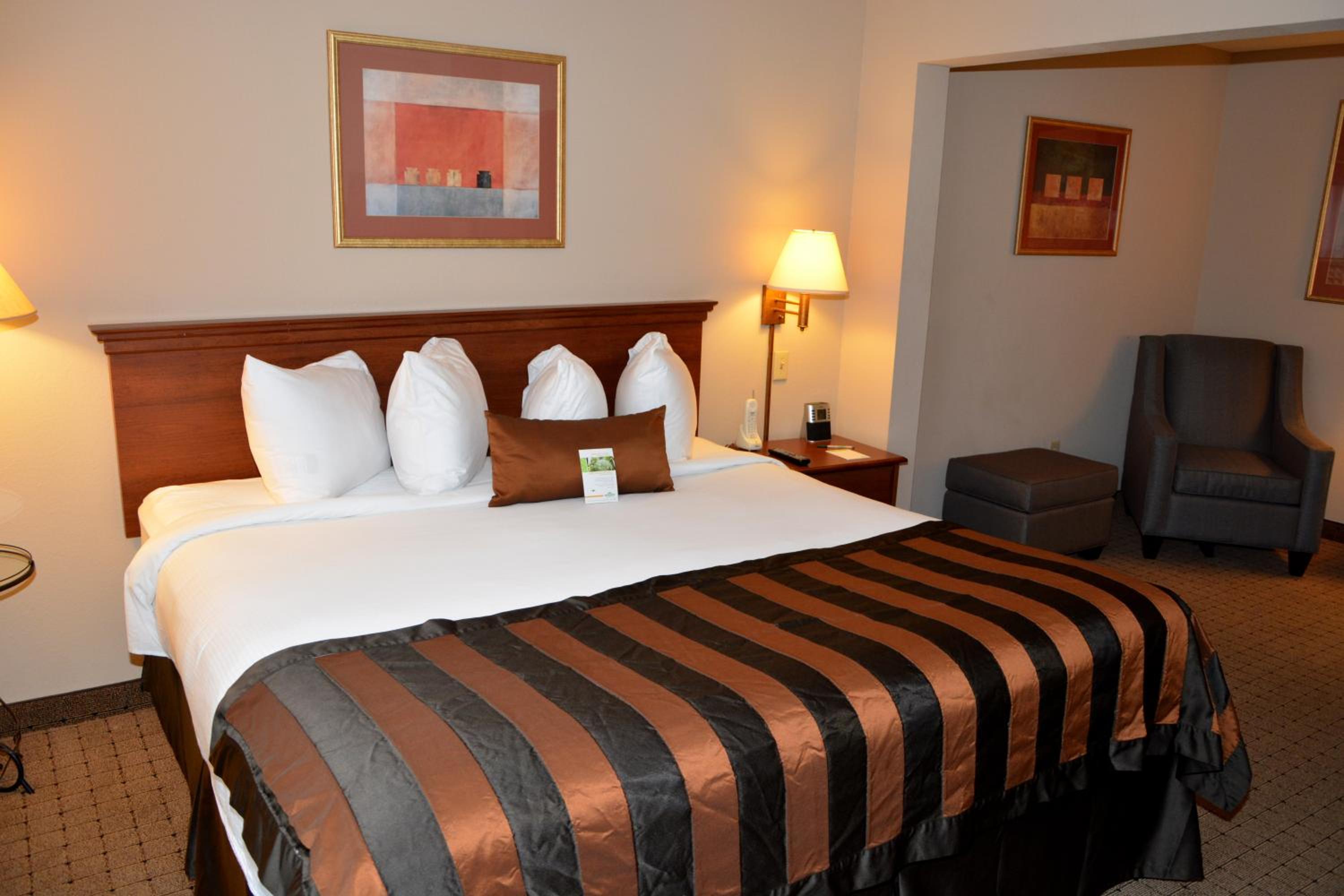 King Room - Non-Smoking - Photo 4