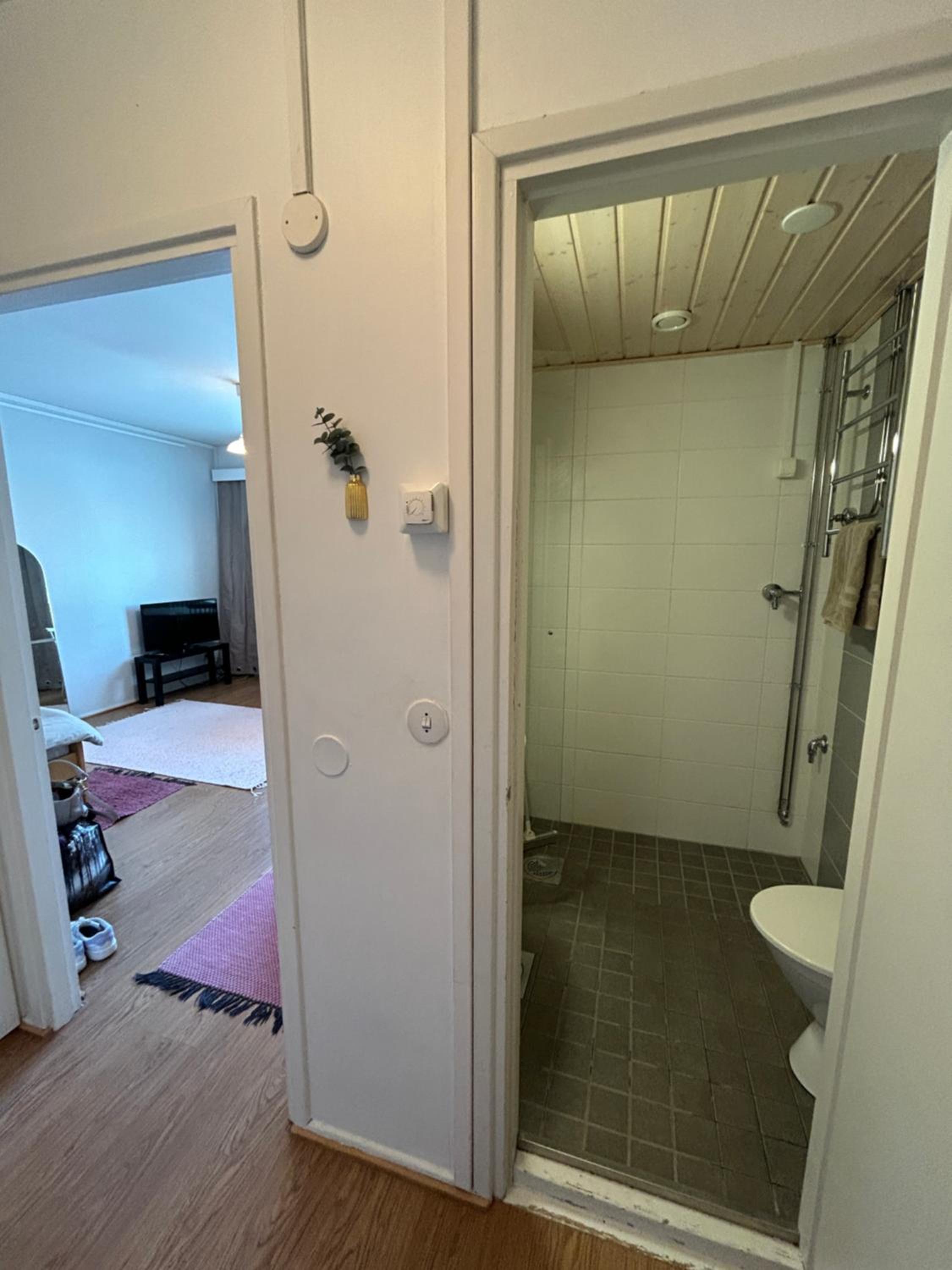 One-Bedroom Apartment photo 2