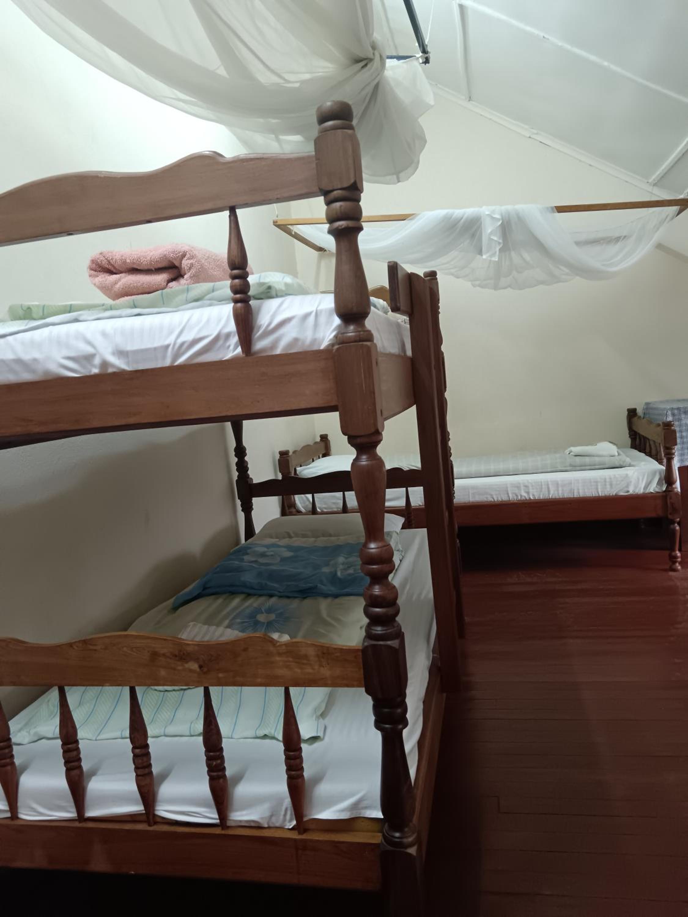 Single Bed in 6-Bed Dormitory Room
