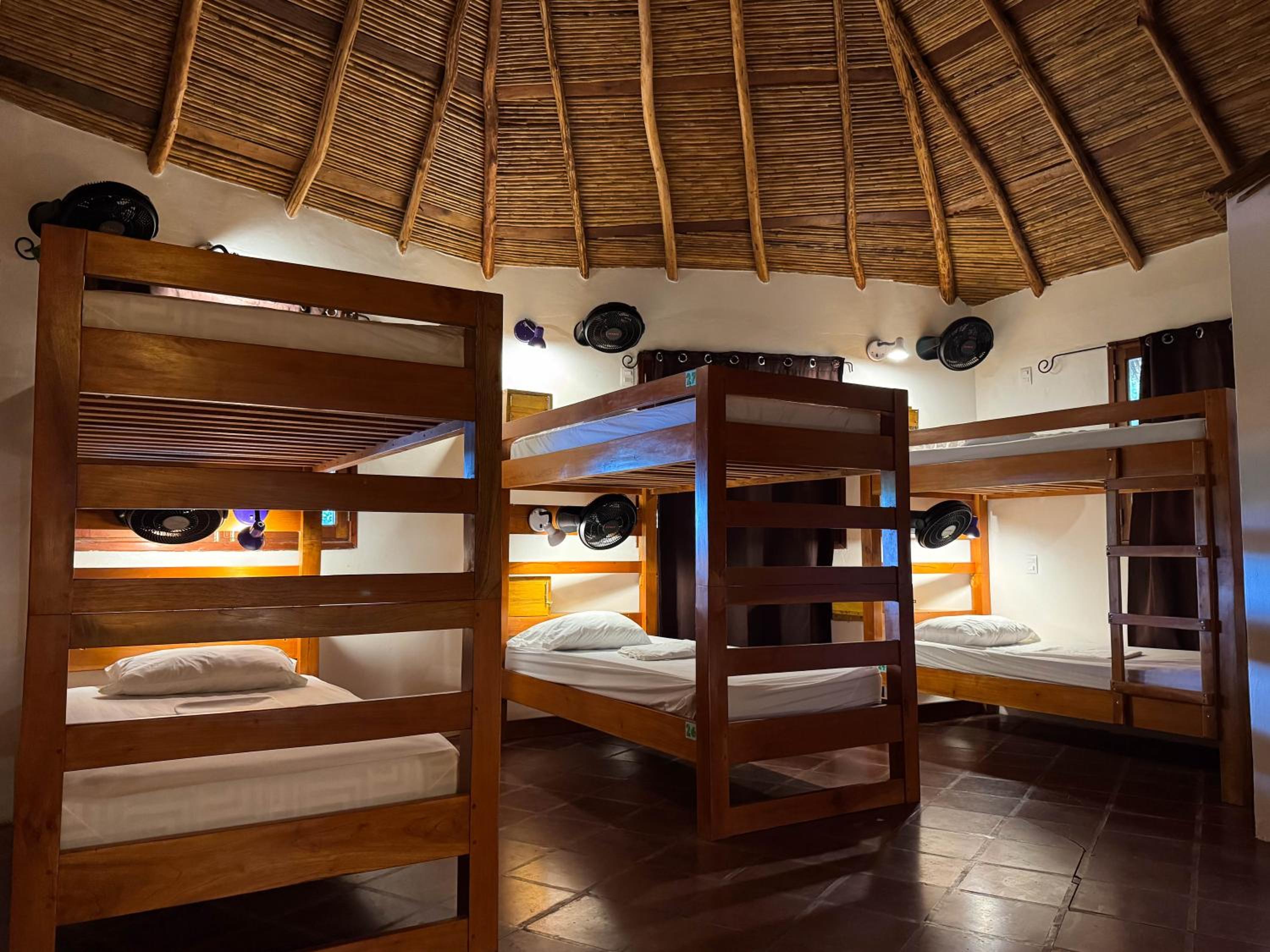 Single Bed in Mixed Dormitory Room photo 1