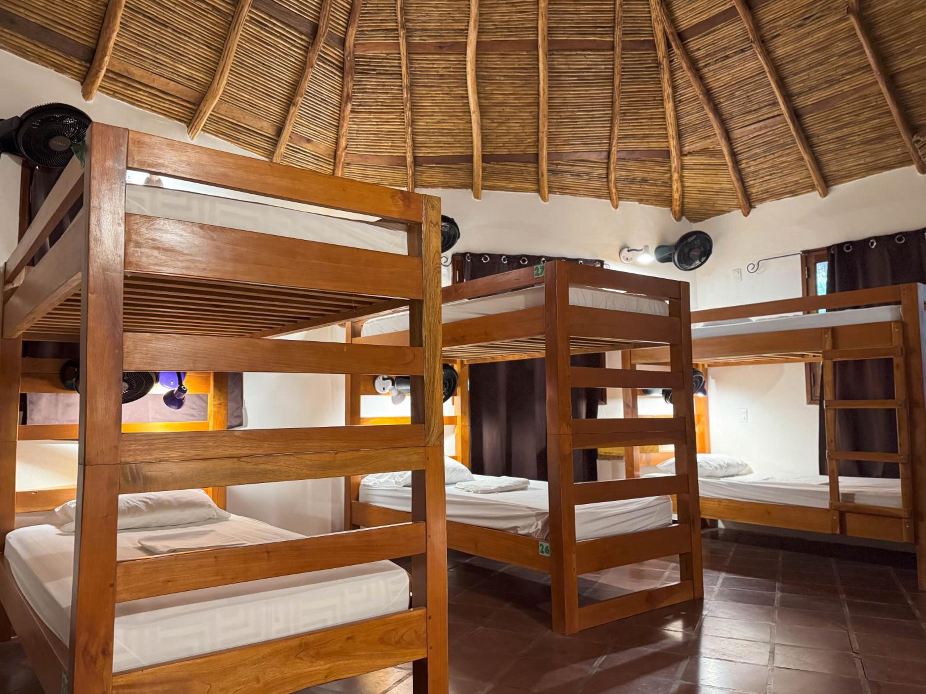 Single Bed in Mixed Dormitory Room photo 2