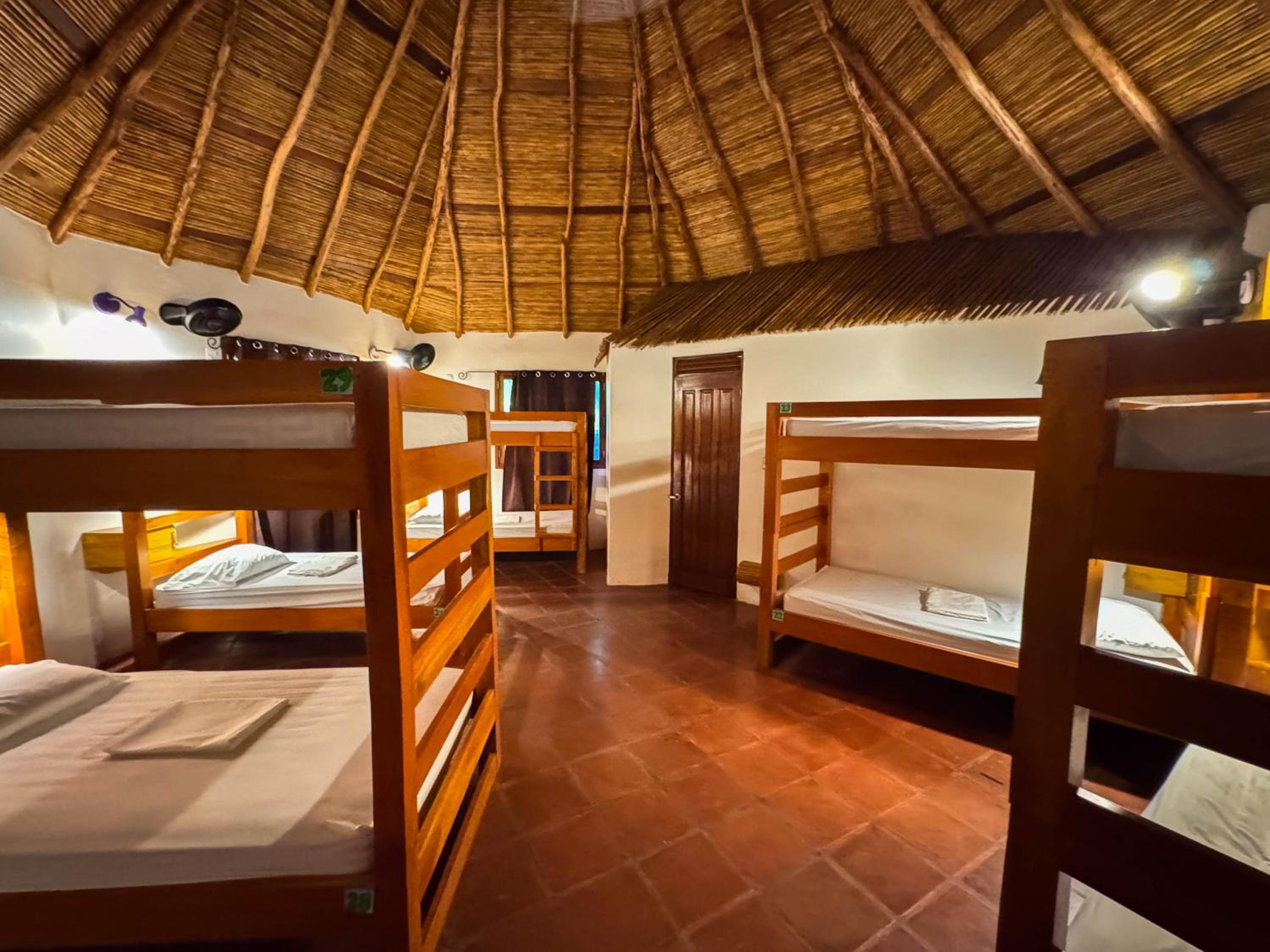 Single Bed in Mixed Dormitory Room photo 3
