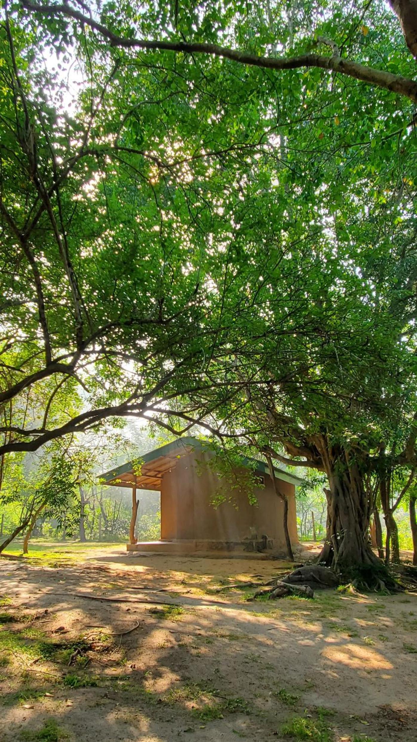 Bungalow with Garden View photo 2