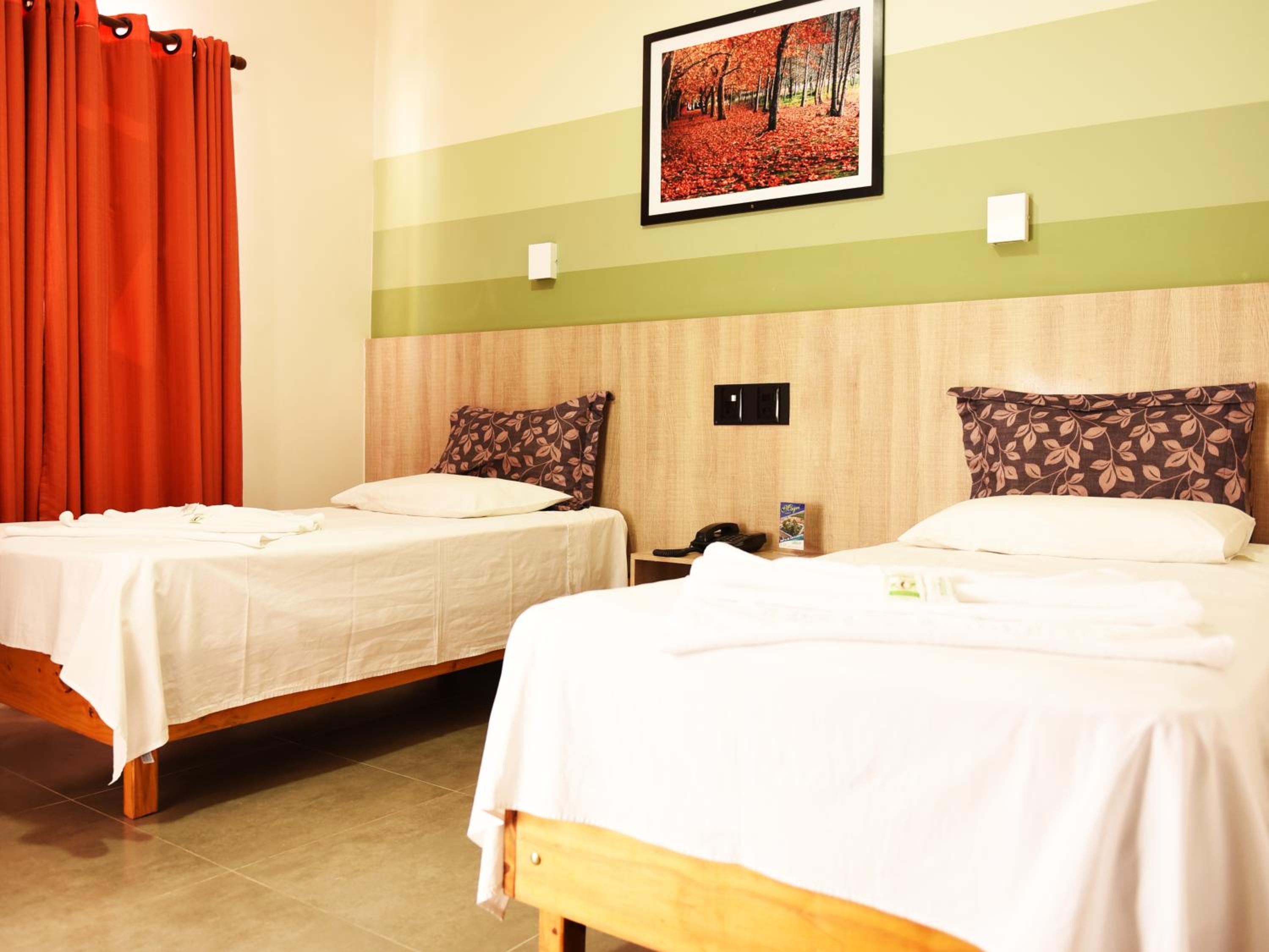 Twin Room photo 2