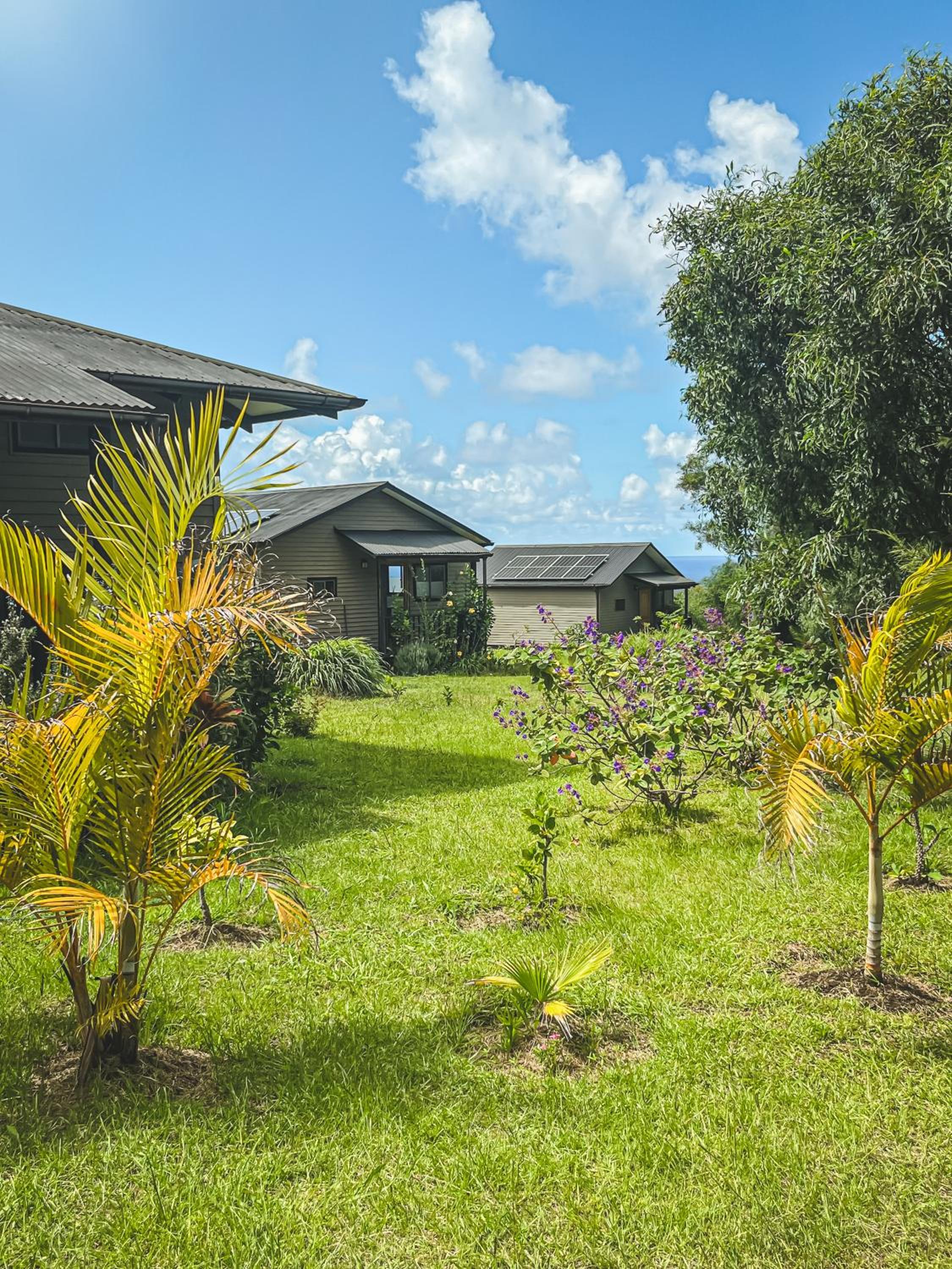 Deluxe Bungalow with Sea View photo 2