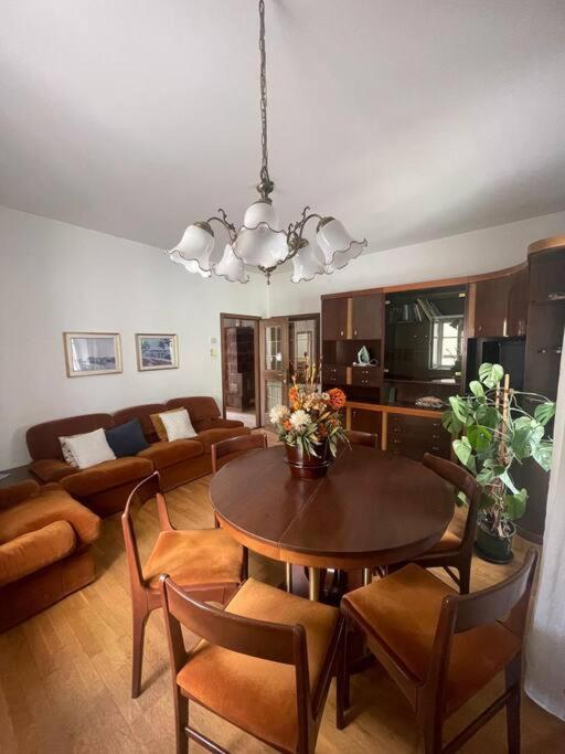 Three-Bedroom Apartment with View