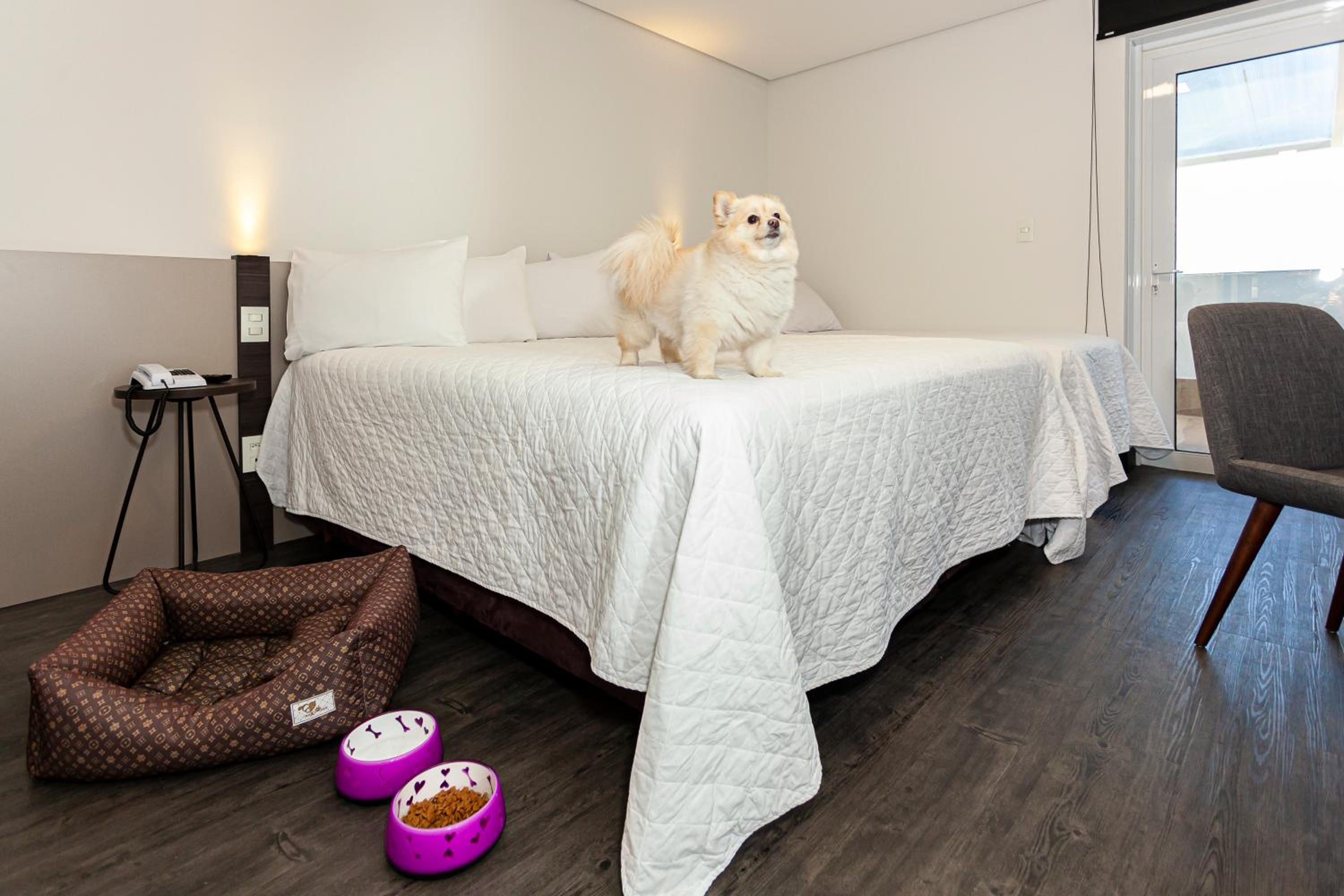 Premium Quadruple Room photo 2