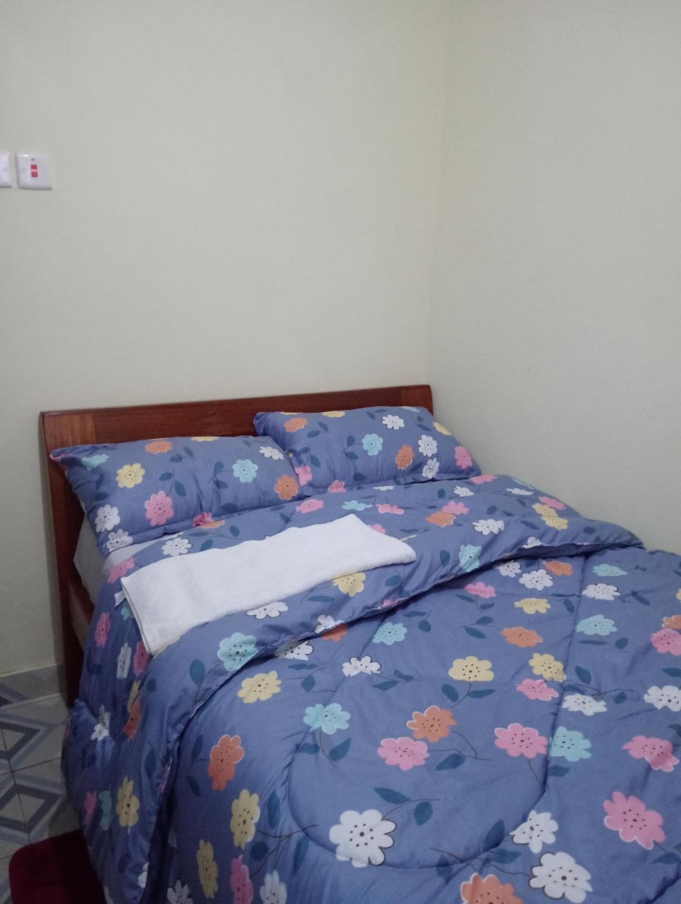 Single Room photo 2