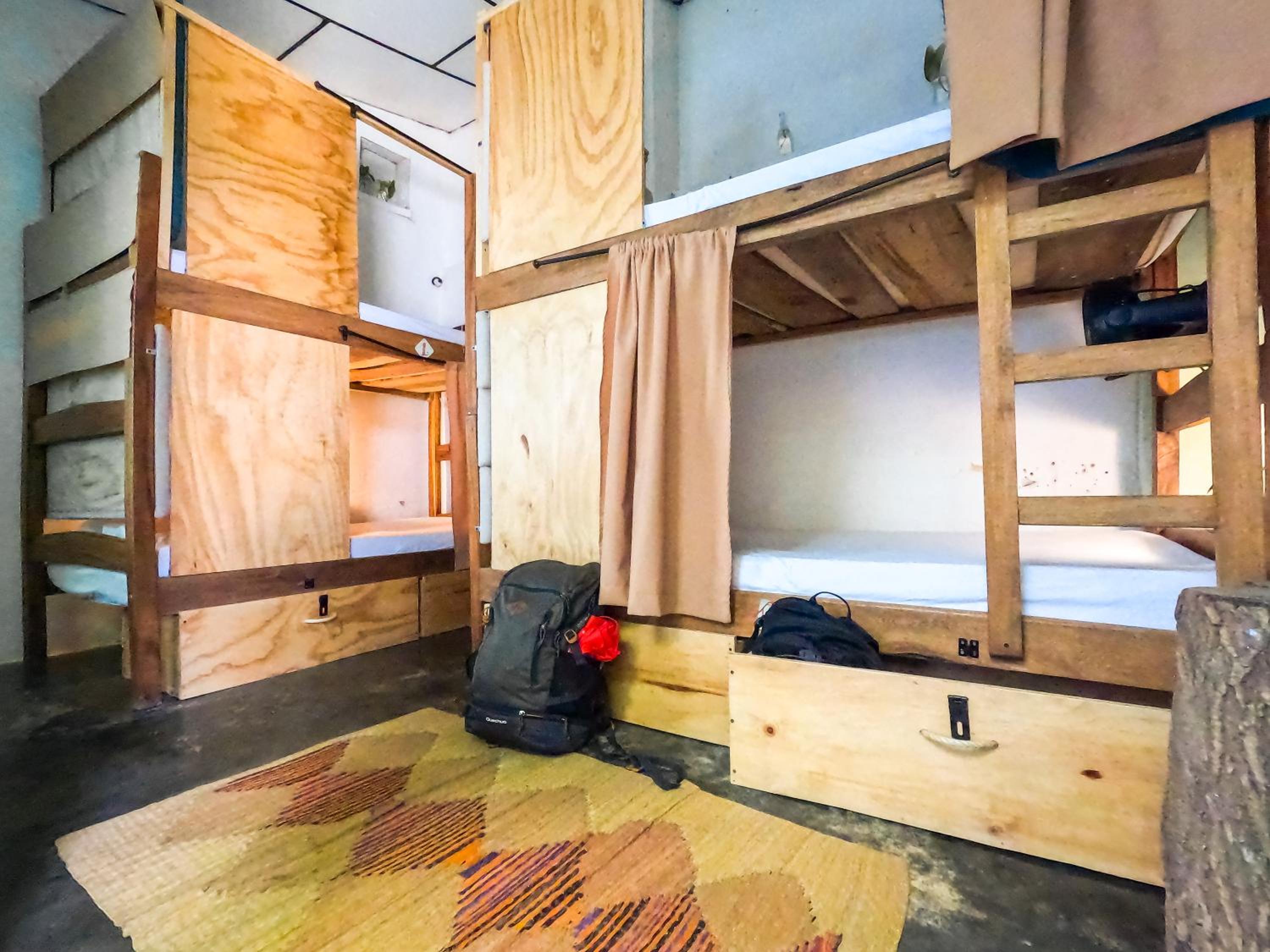 Single Bed in 4-Bed Dormitory Room photo 1