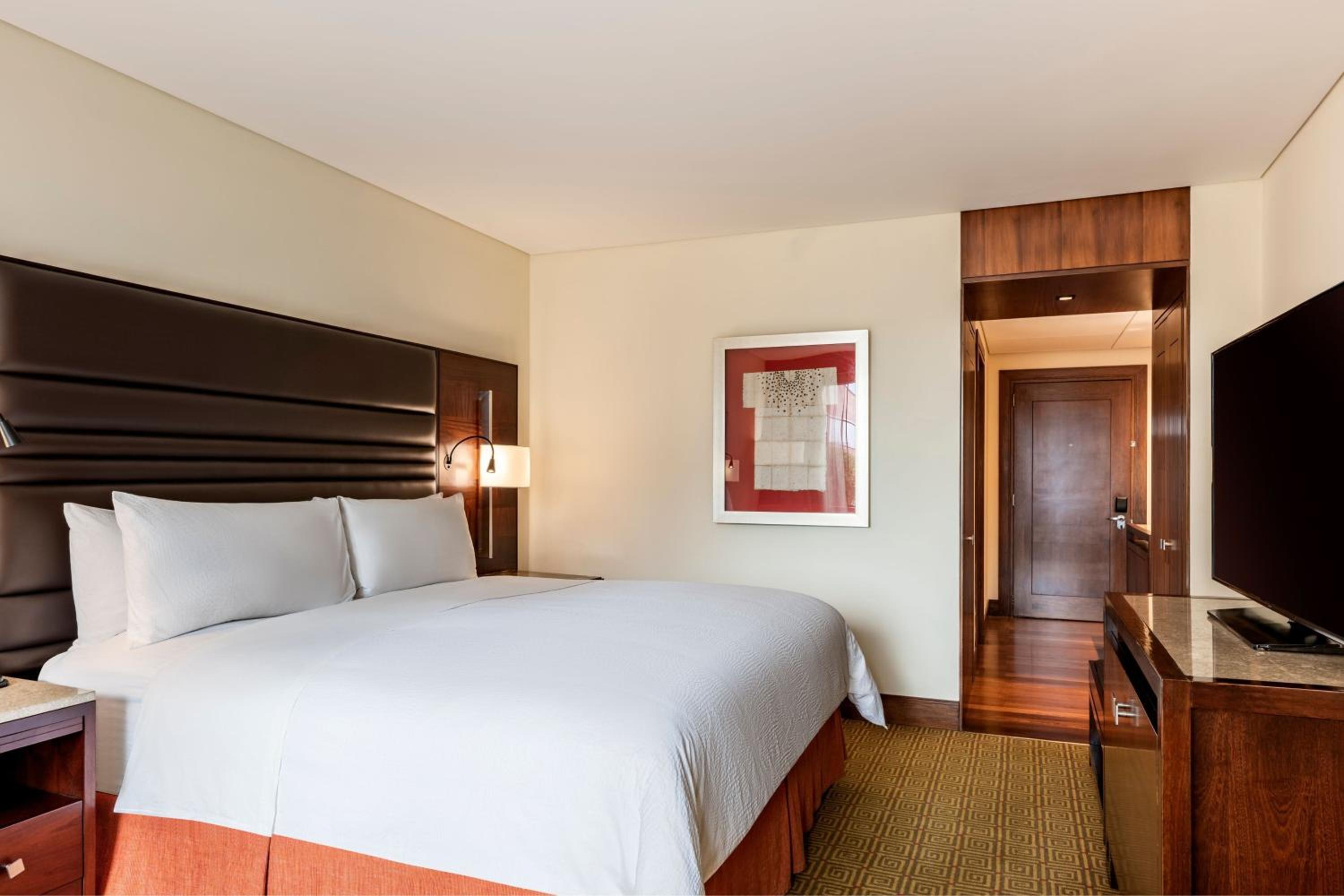 Deluxe King Room - Photo 1