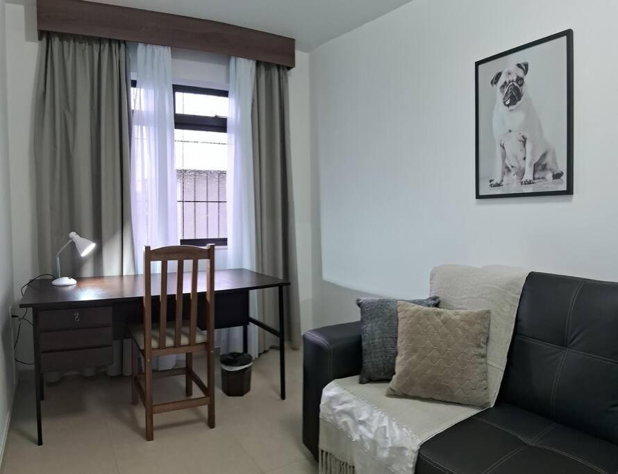 One-Bedroom Apartment photo 2