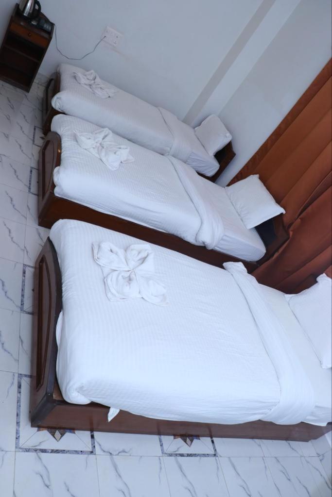Twin Room photo 3