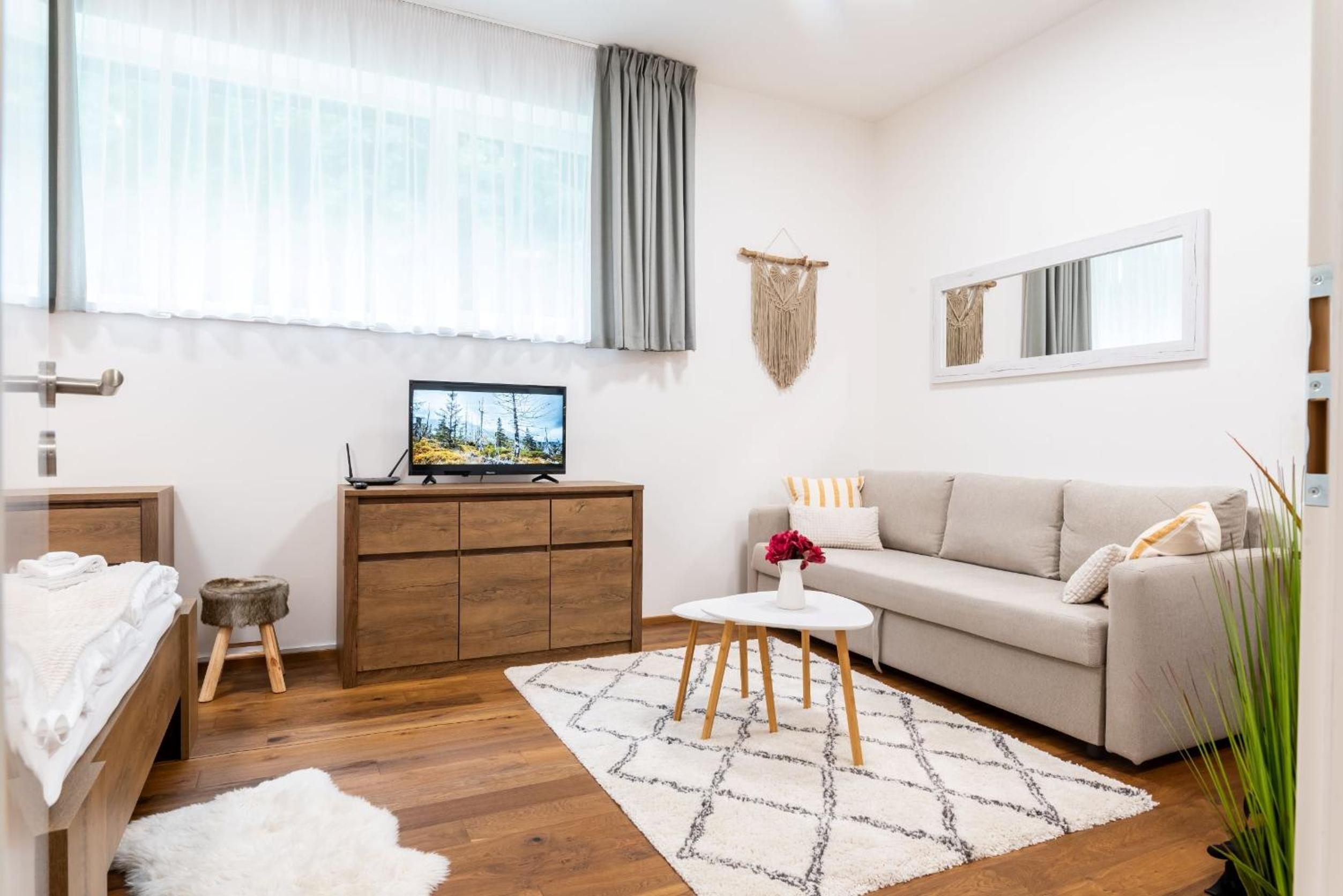 Studio With Sofa Bed photo 2