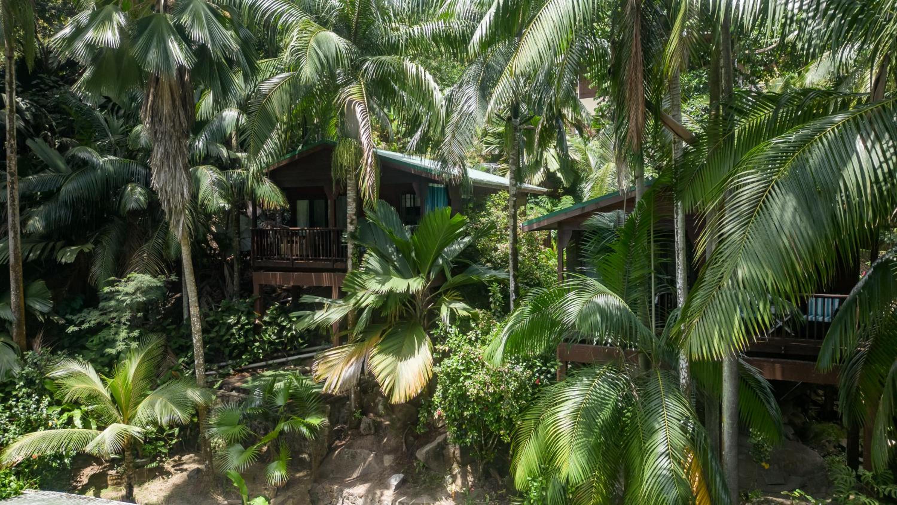 One-Bedroom Villa photo 2