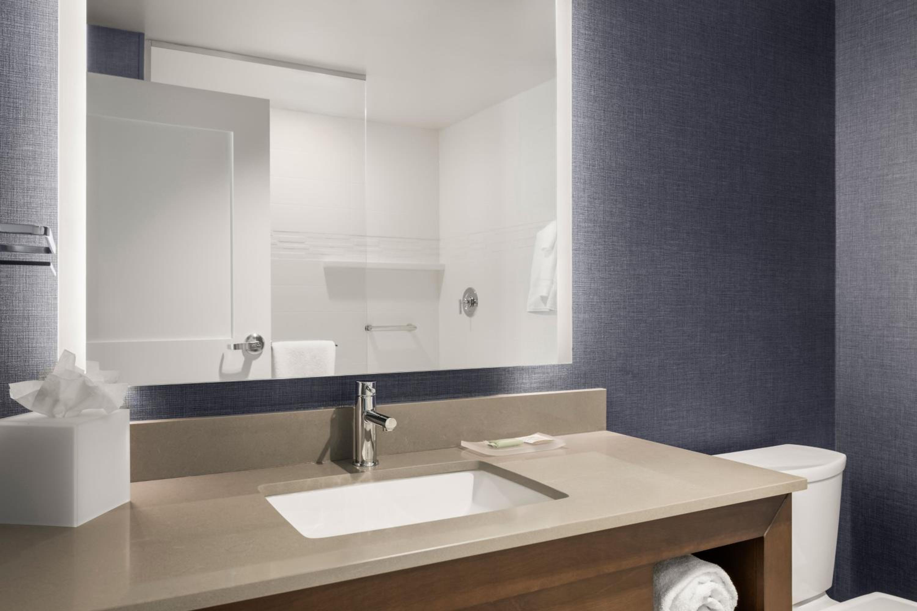 King Room with Skyline View - Hearing Accessible photo 3