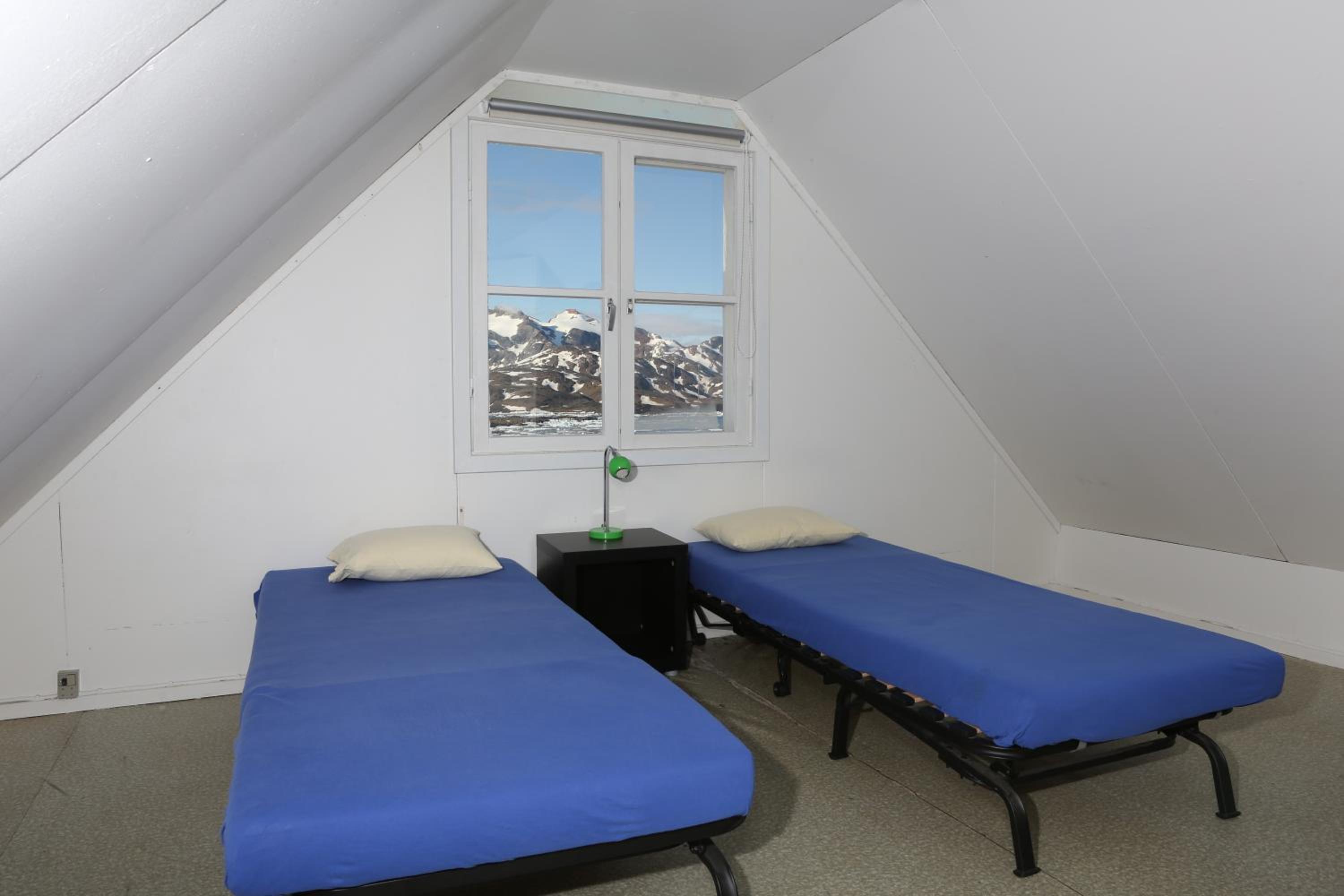 Single Bed In Mixed Dormitory Room