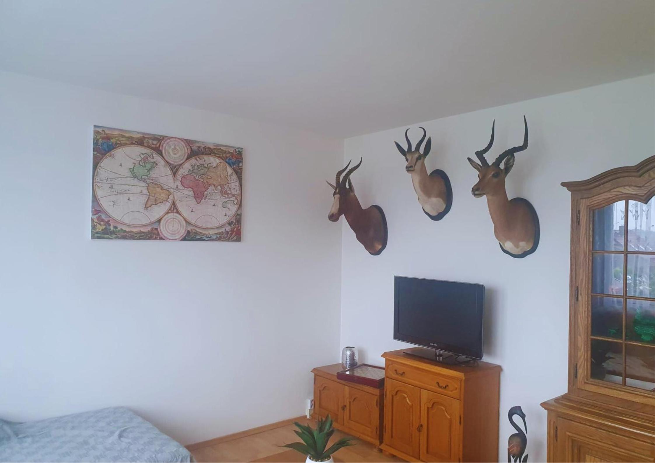 One-Bedroom Apartment photo 3