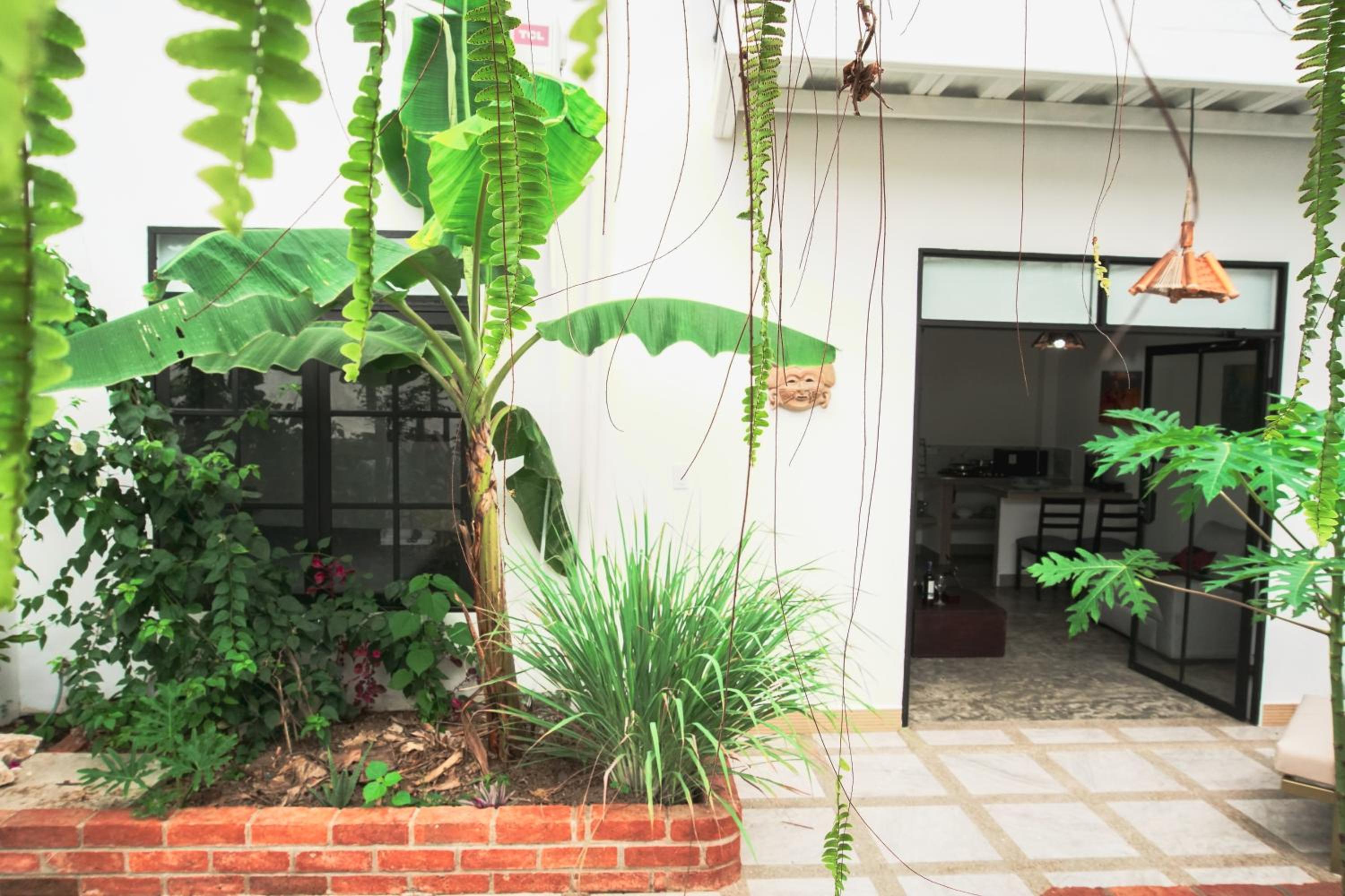 Apartment With Garden View photo 1