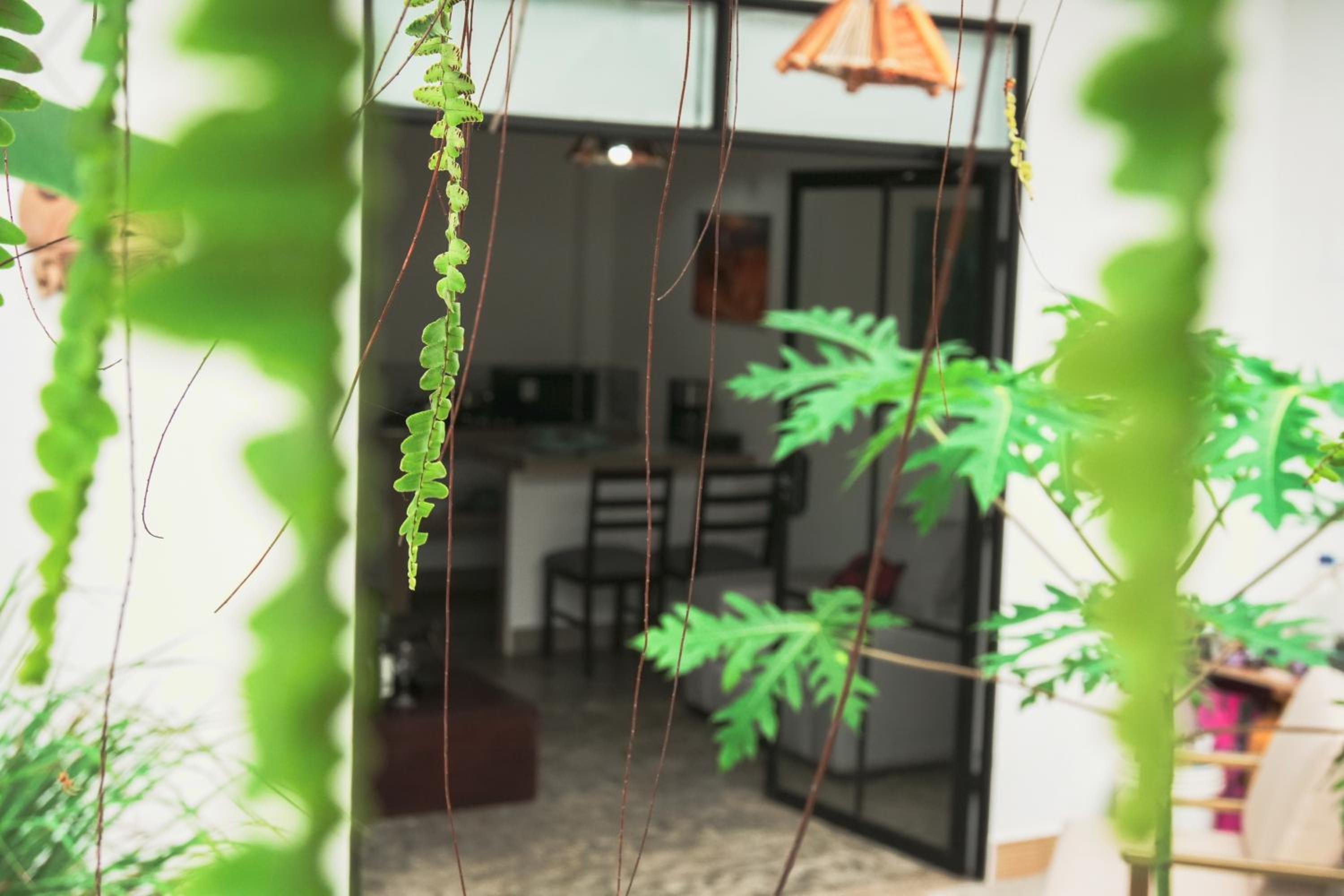 Apartment With Garden View photo 3